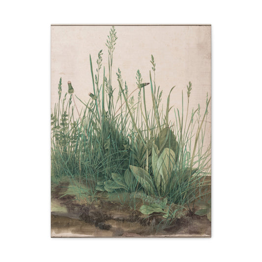 Great Piece of Turf - Albrecht Dürer (1503) - Stretched Canvas Print