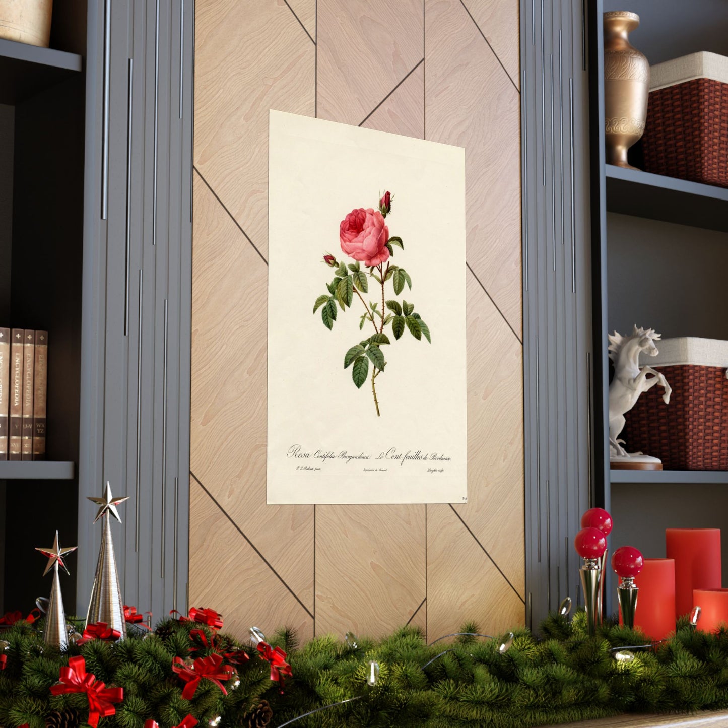 Rosa Centifolia Burgundiaca (Le Cent-feuilles de Bordeaux) - Pierre-Joseph Redouté - Wall Poster Print