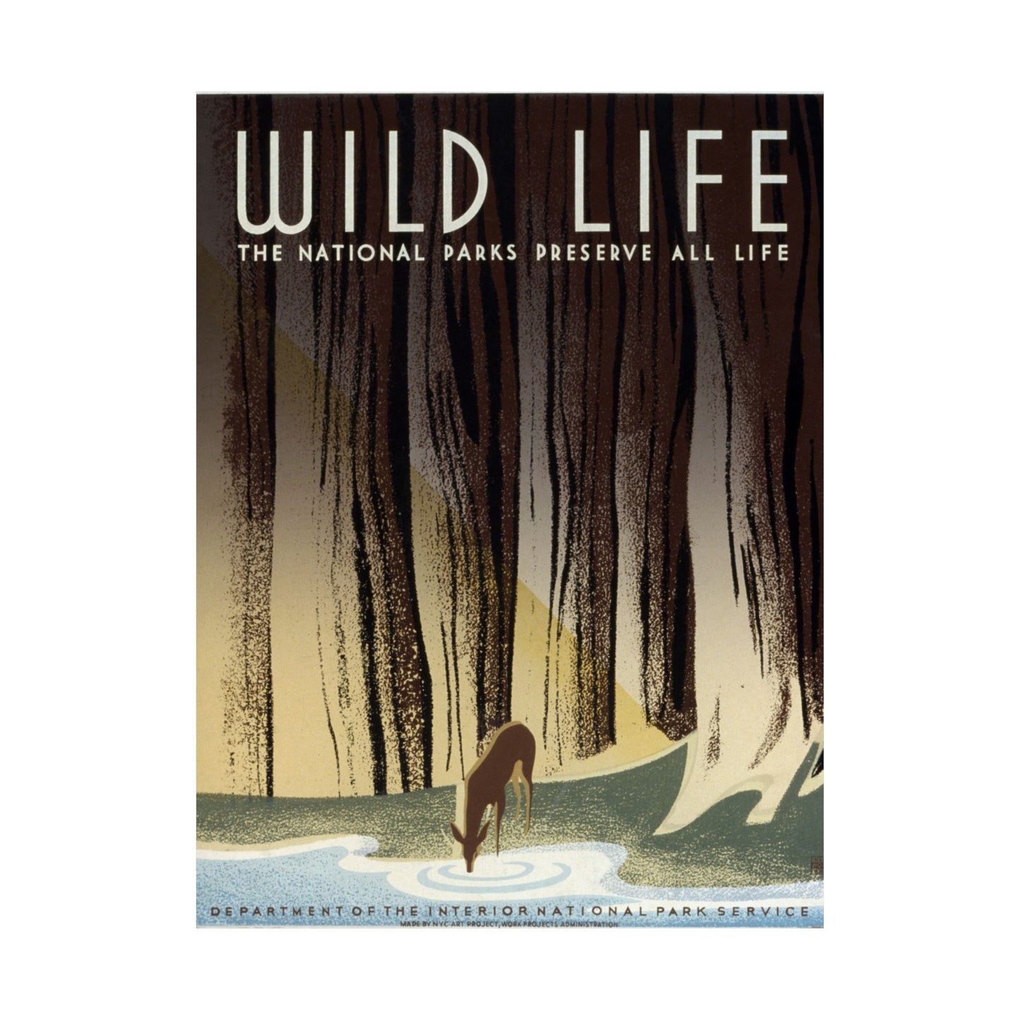 Wild Life - The National Parks Preserve All Life - National Park Service - Wall Poster Print
