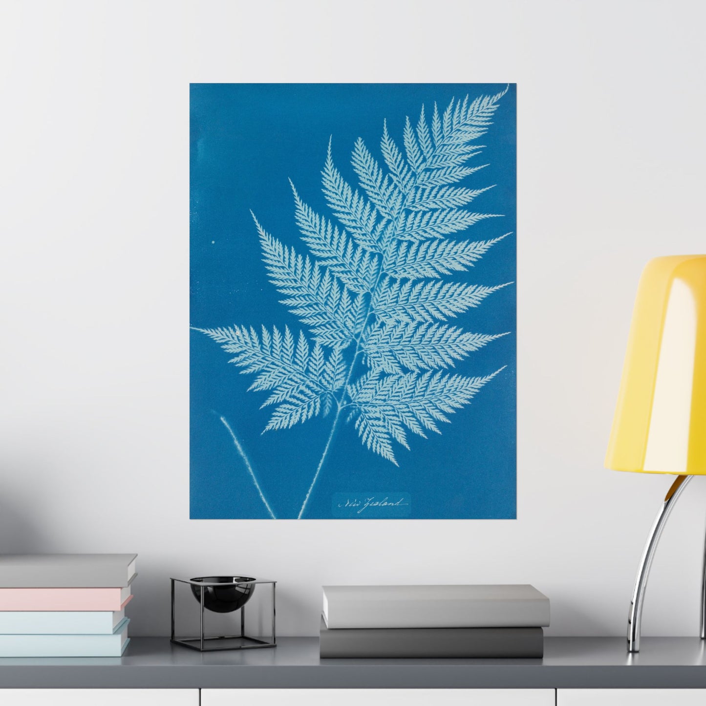 New Zealand Fern Cyanotype - Anna Atkins - Wall Poster Print
