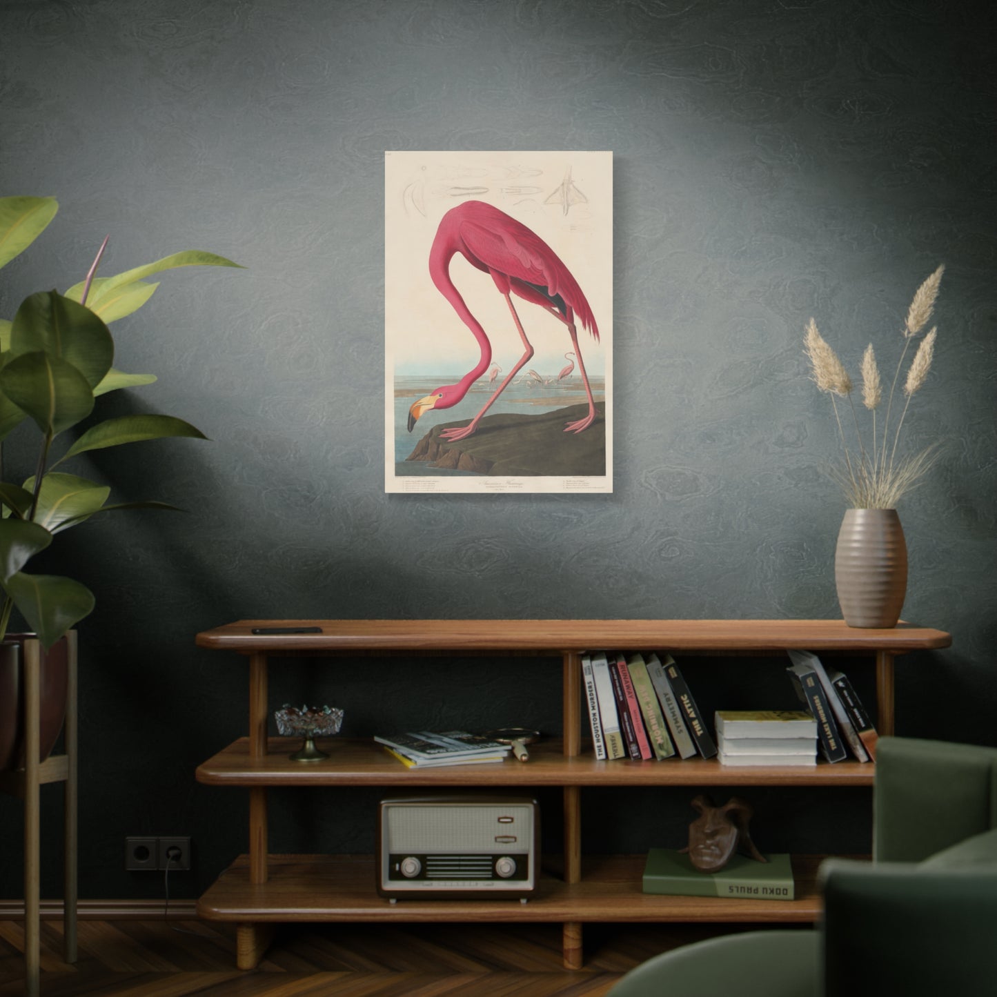 American Flamingo (Birds of America) - John James Audubon - Stretched Canvas Print