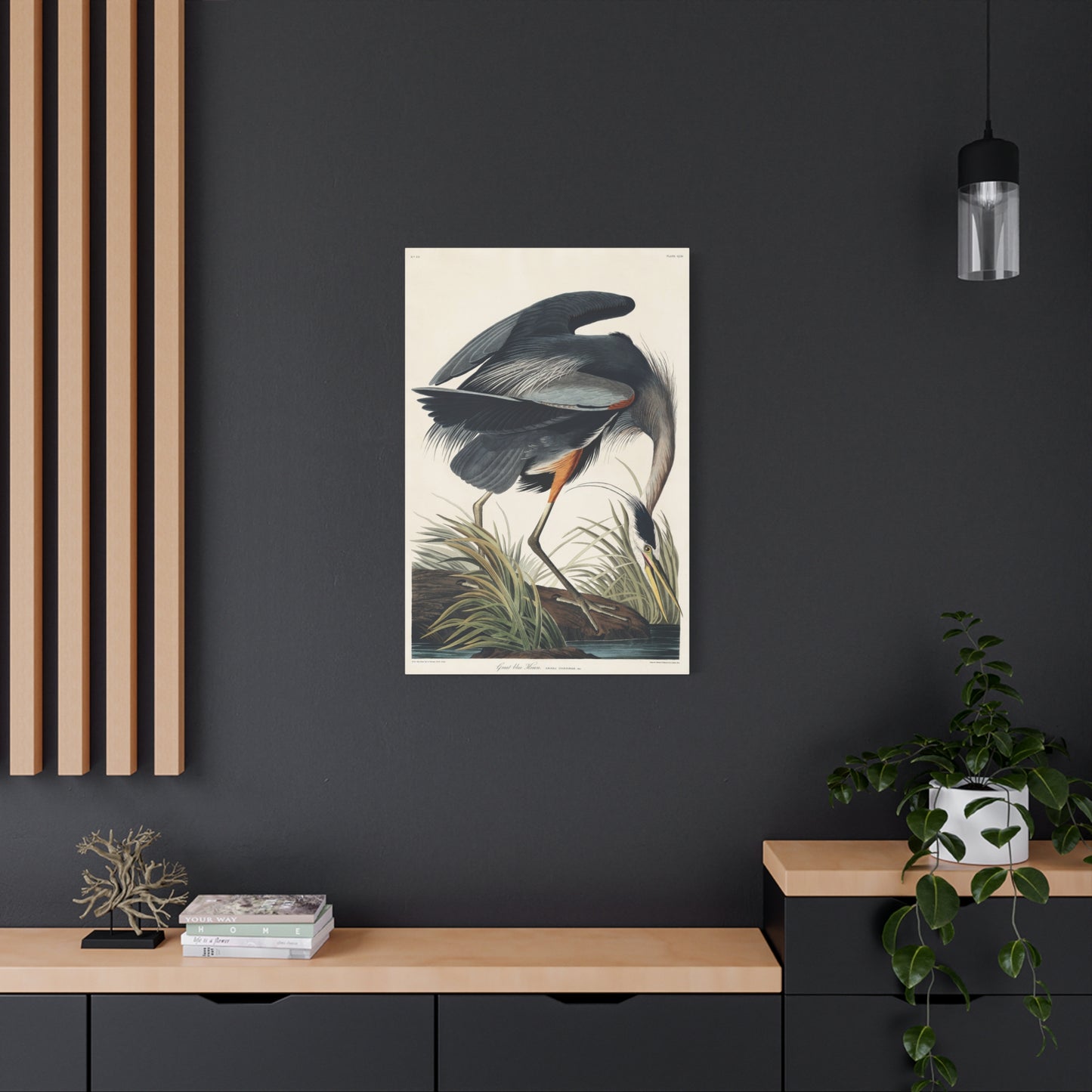 Great Blue Heron (Birds of America) - John James Audubon - Stretched Canvas Print