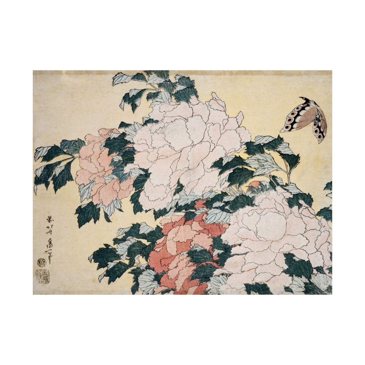 Peonies and Butterfly - Katsushika Hokusai - Wall Poster Print