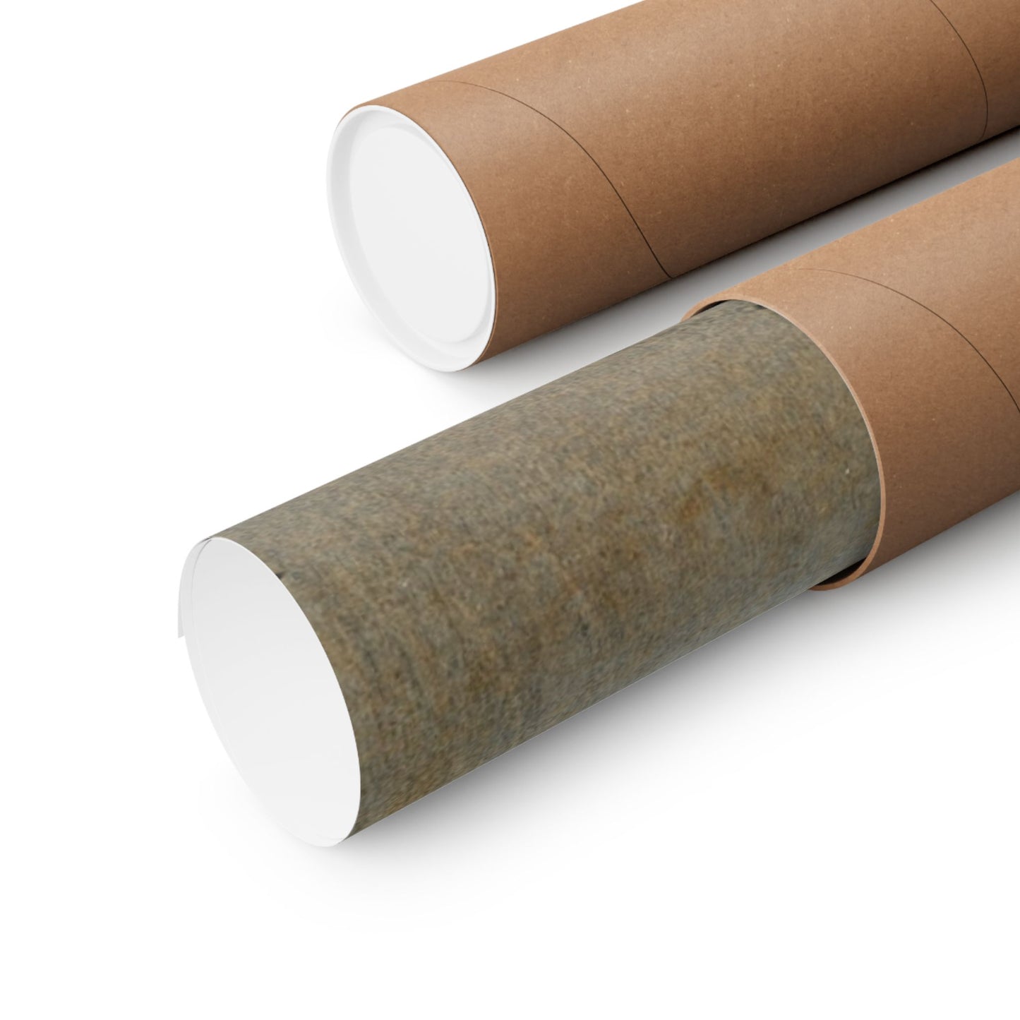 Crow and Blossom - Ohara Koson - Wall Poster Print