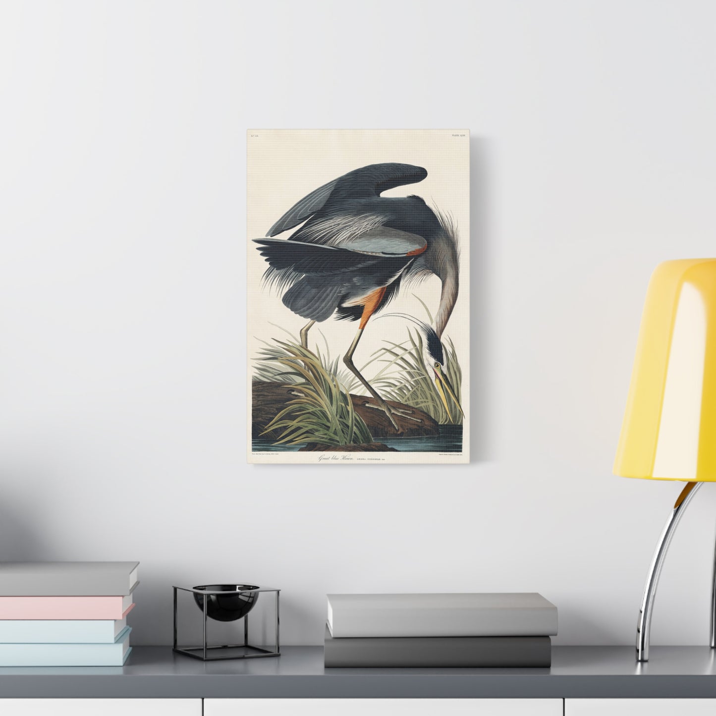 Great Blue Heron (Birds of America) - John James Audubon - Stretched Canvas Print