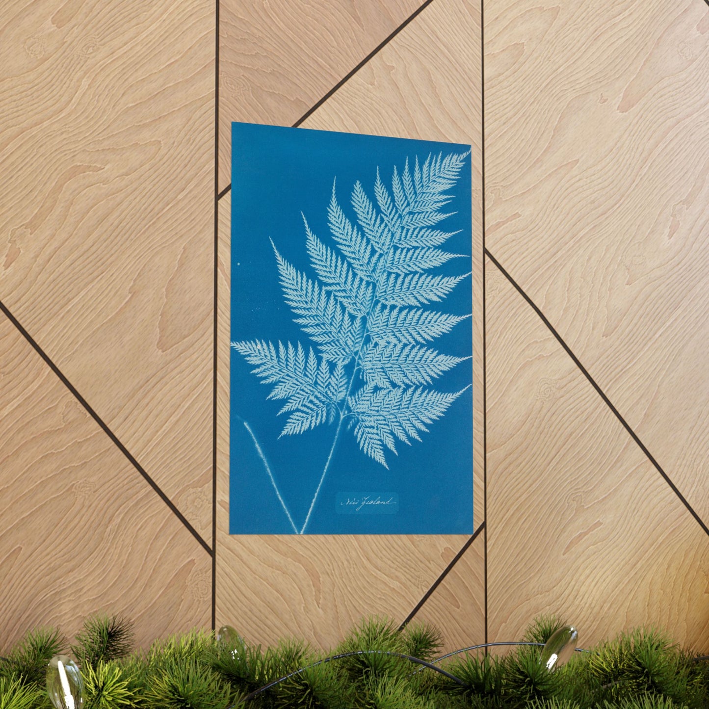 New Zealand Fern Cyanotype - Anna Atkins - Wall Poster Print