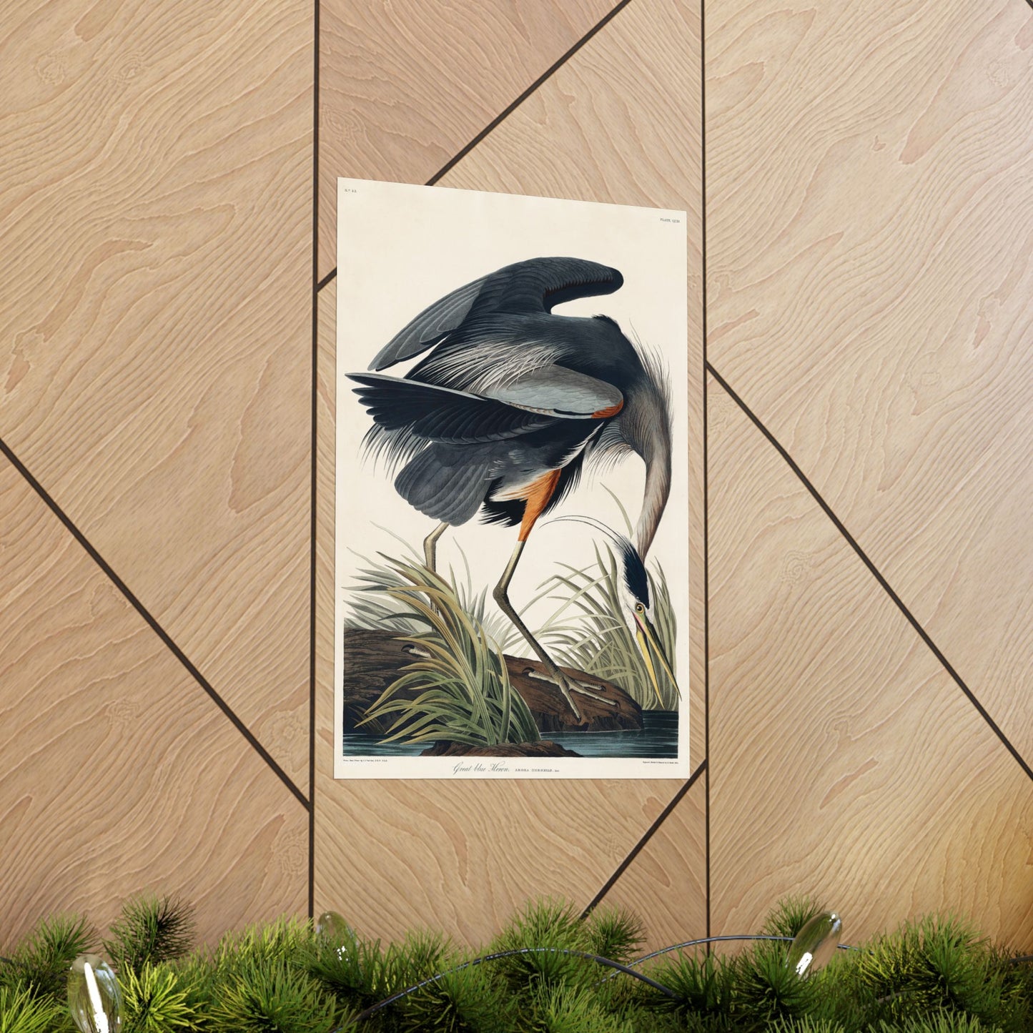 Great Blue Heron (Birds of America) - John James Audubon - Wall Poster Print