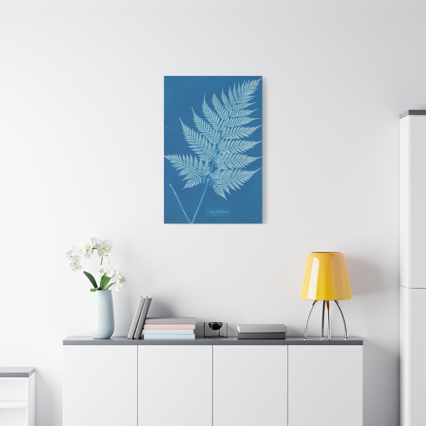 New Zealand Fern Cyanotype - Anna Atkins - Stretched Canvas Print