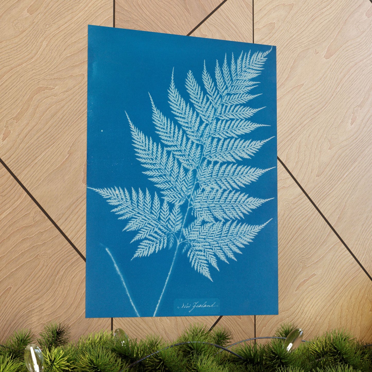 New Zealand Fern Cyanotype - Anna Atkins - Wall Poster Print