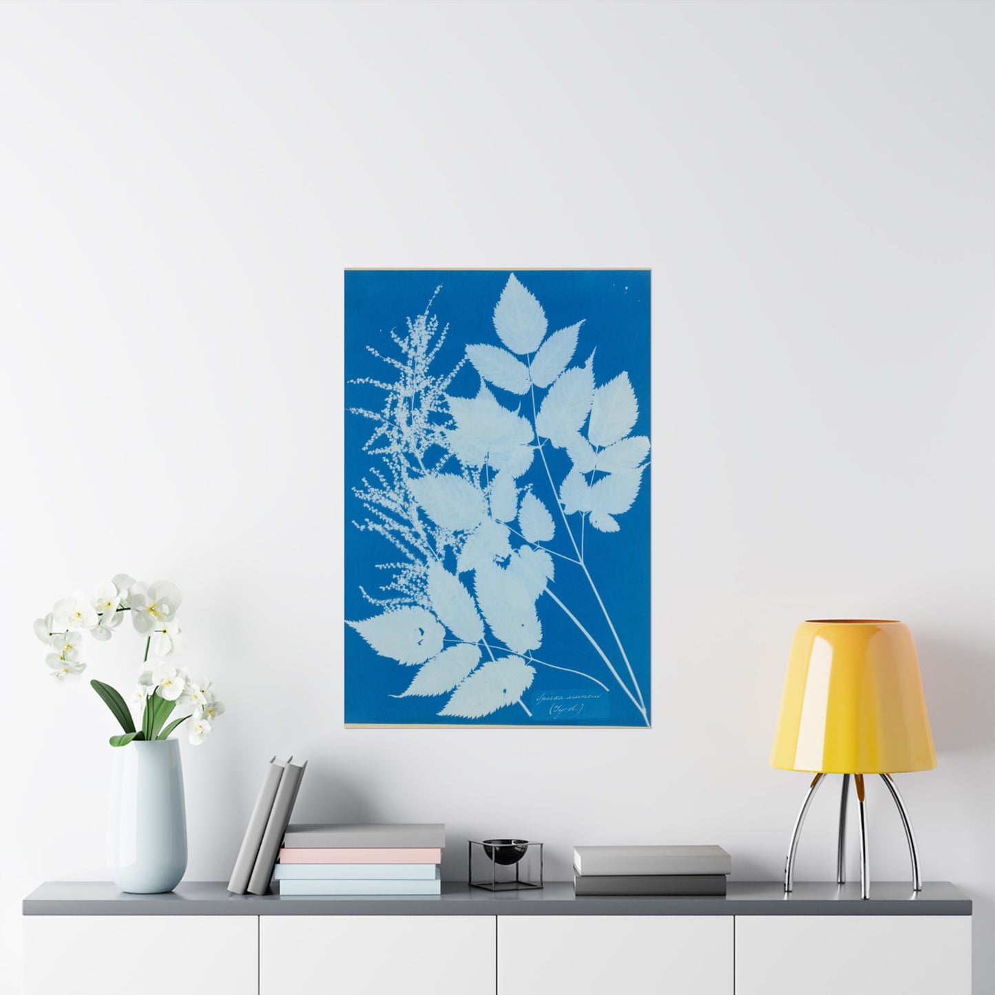 Spiraea Aruncus (Tyrol) Cyanotype - Anna Atkins - Wall Poster Print