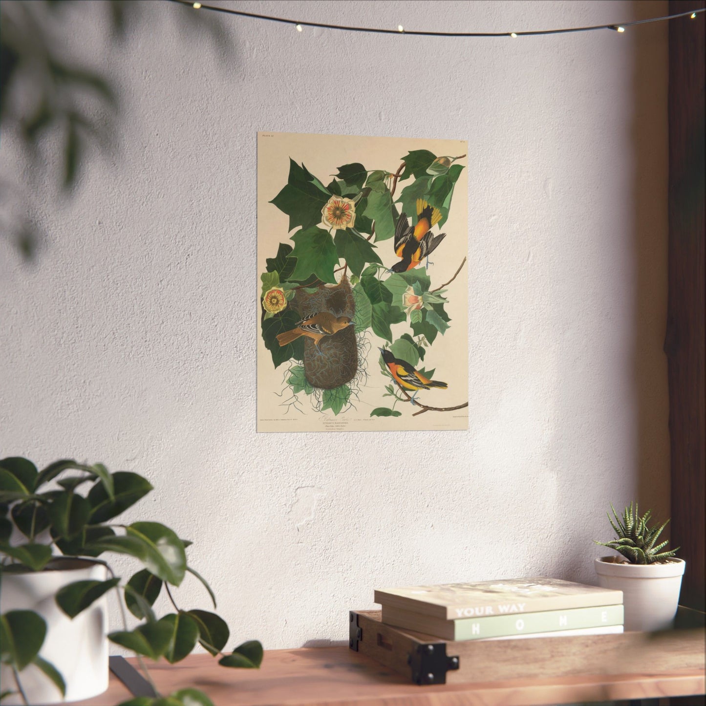 Baltimore Oriole (Birds of America) - John James Audubon - Wall Poster Print