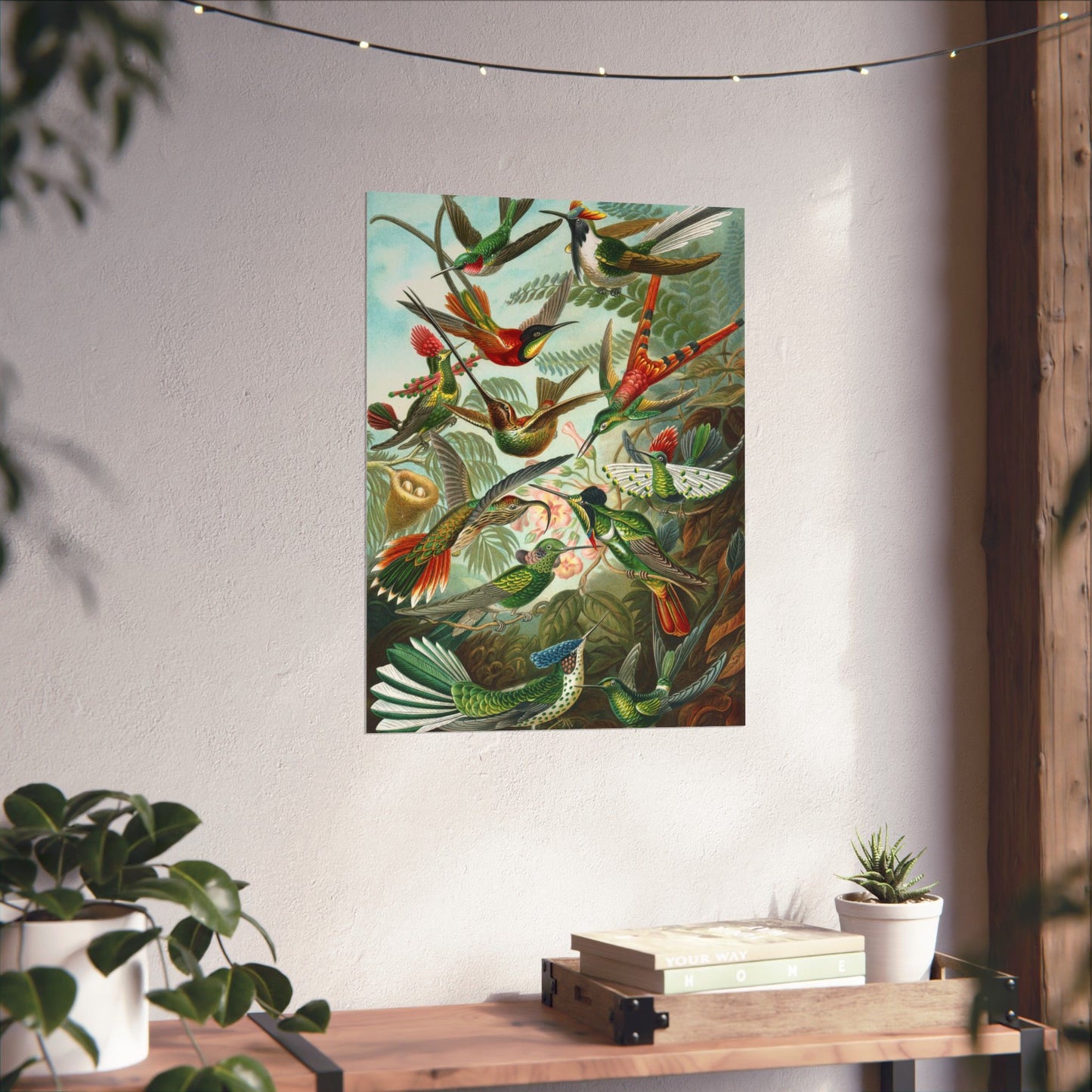 Trochilidae (Hummingbirds) - Ernst Haeckel (1904) - Wall Poster Print
