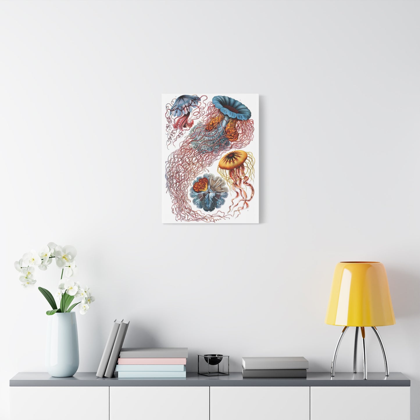 Discomedusae (Jellyfish) - Ernst Haeckel (1904) - Stretched Canvas Print