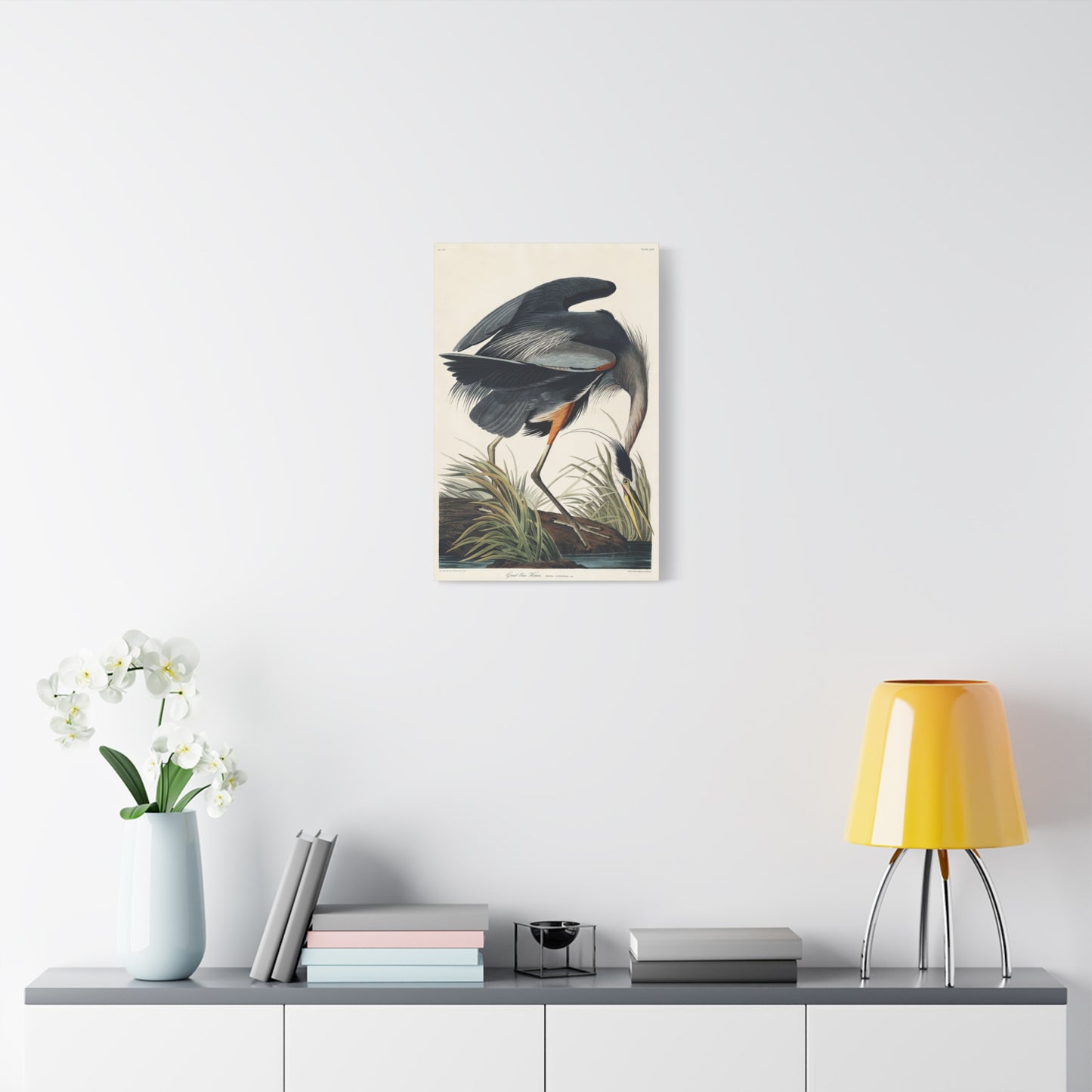 Great Blue Heron (Birds of America) - John James Audubon - Stretched Canvas Print