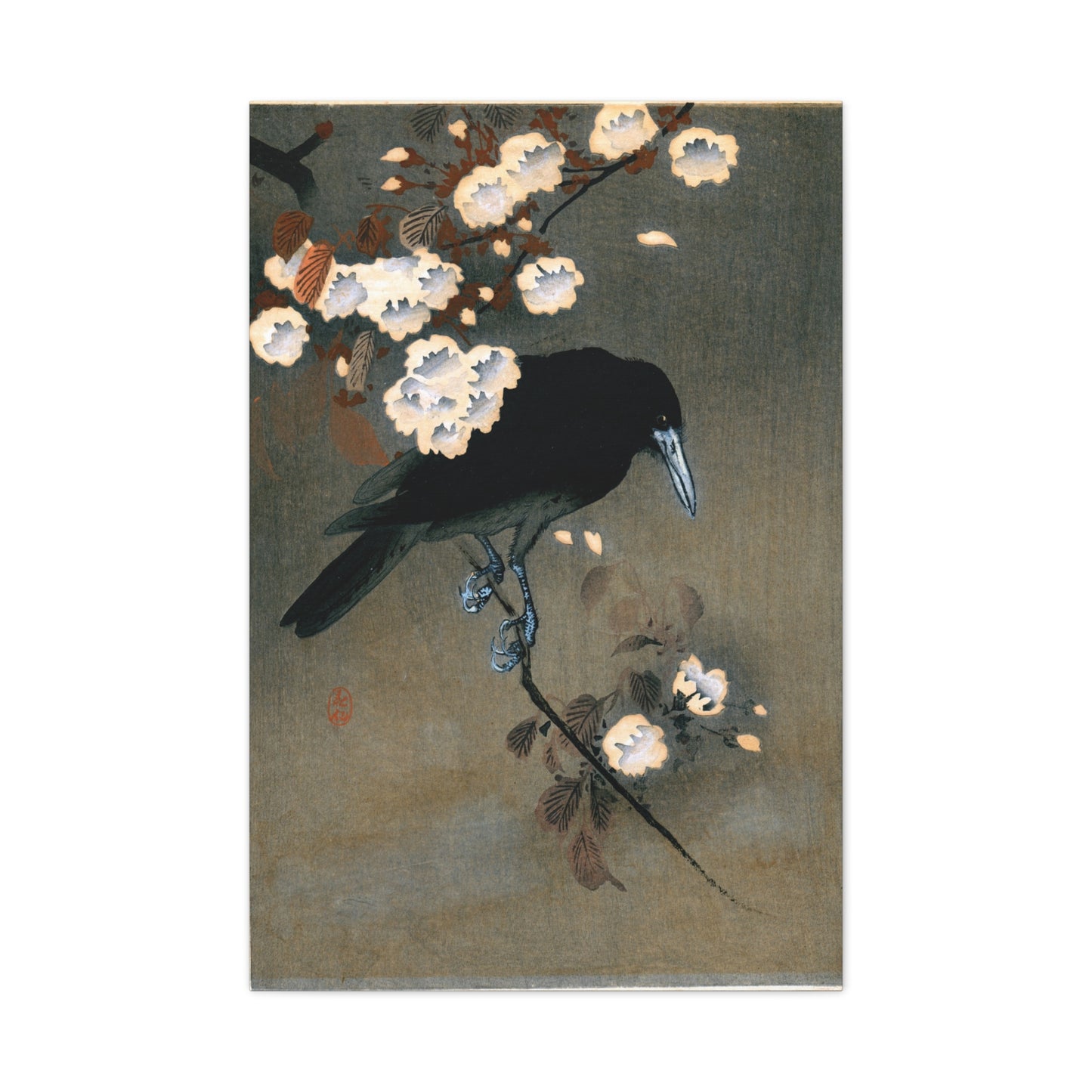 Crow and Blossom - Ohara Koson - Stretched Canvas Print