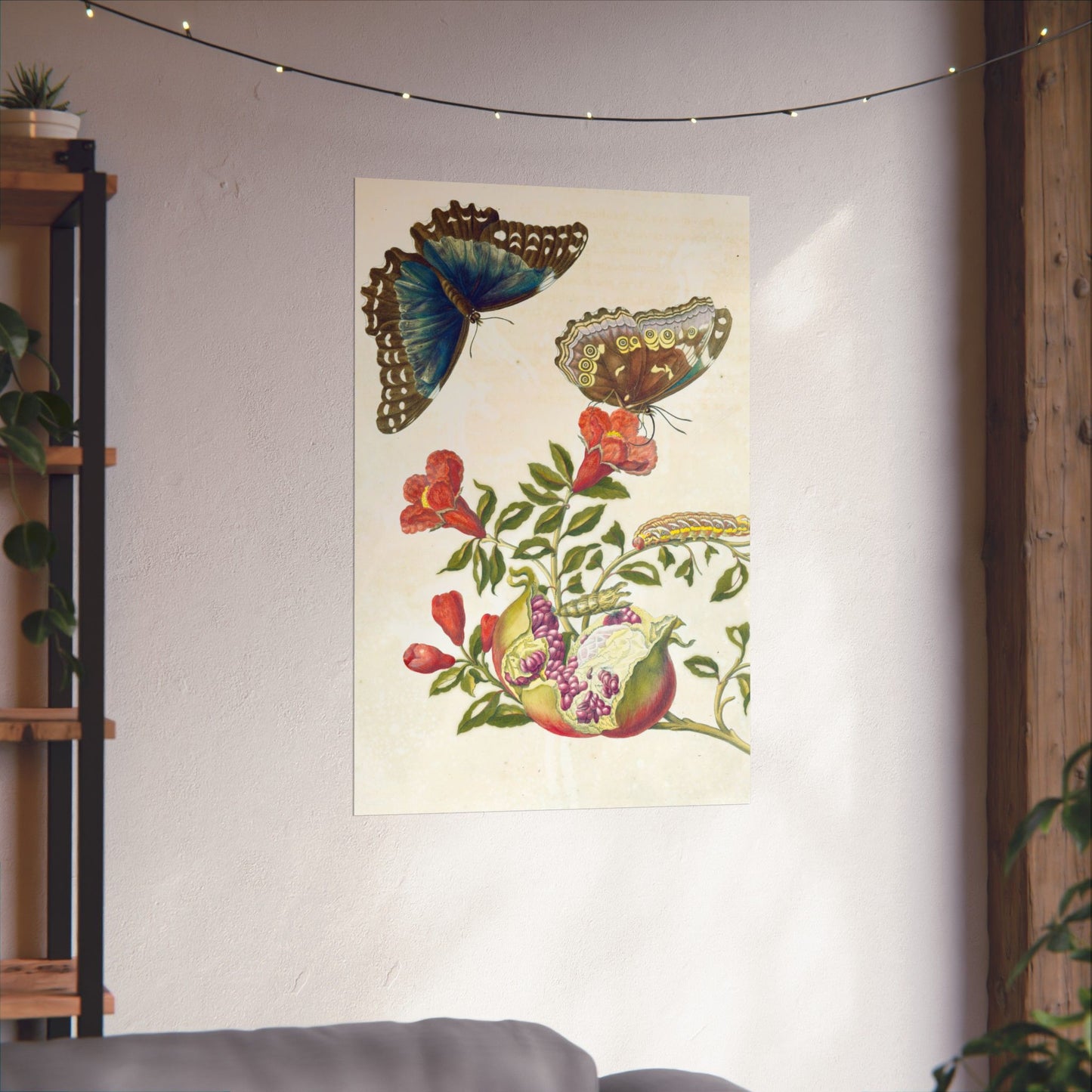 Metamorphosis Insectorum Surinamensium - Maria Sibylla Merian - Wall Poster Print