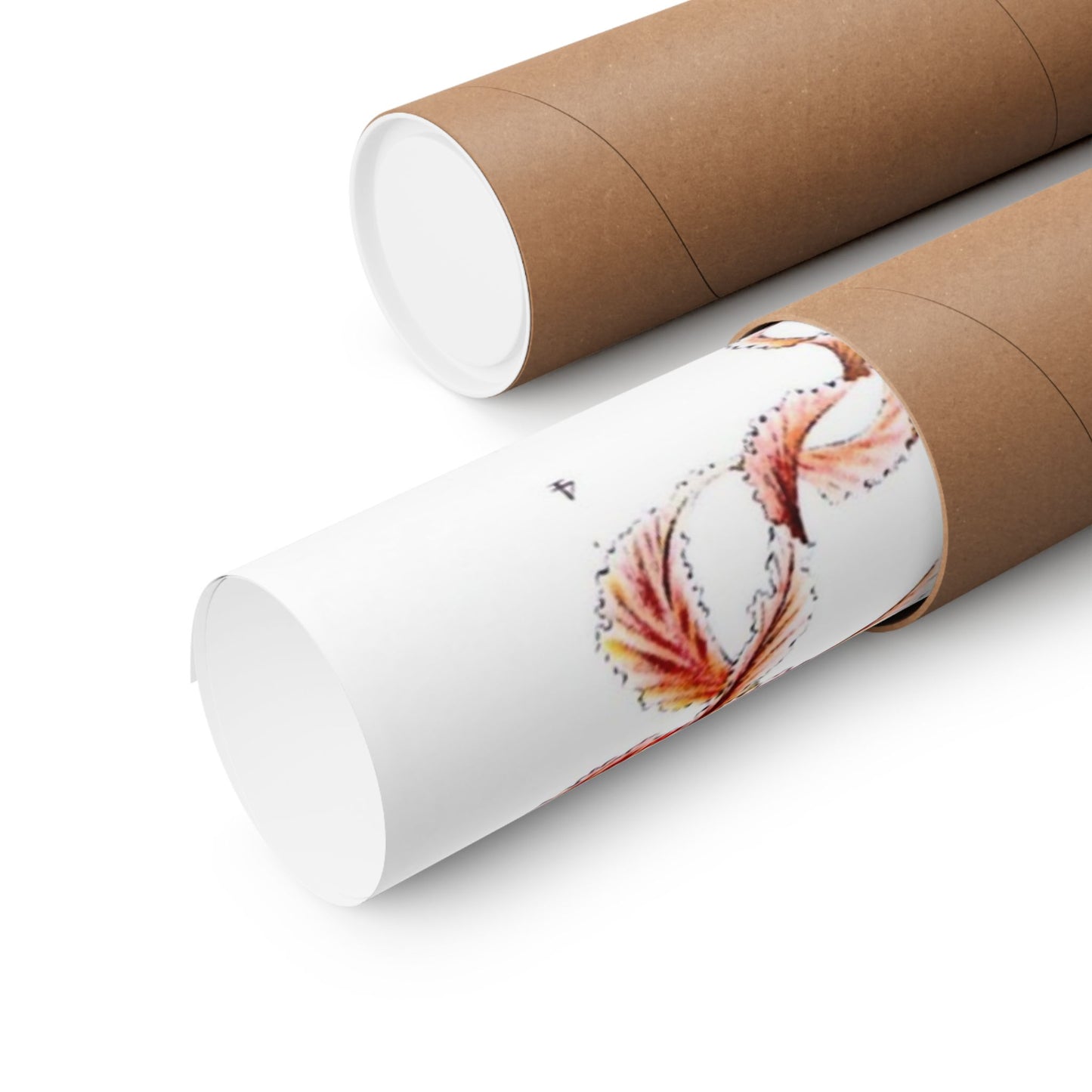 Discomedusae (Jellyfish) - Ernst Haeckel (1904) - Wall Poster Print