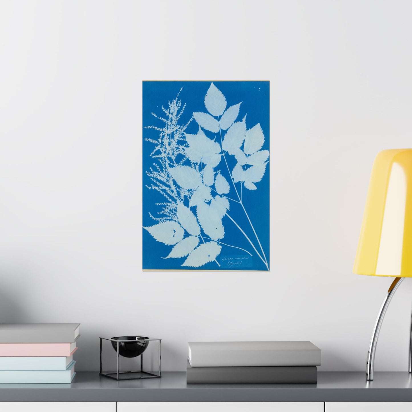 Spiraea Aruncus (Tyrol) Cyanotype - Anna Atkins - Wall Poster Print
