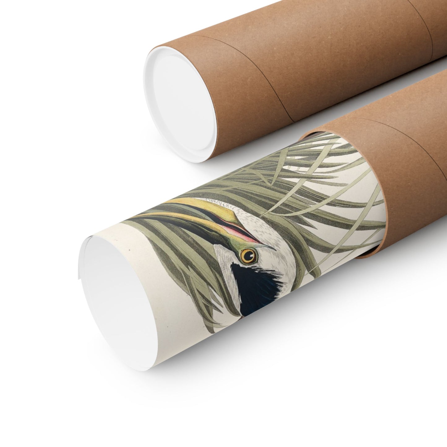 Great Blue Heron (Birds of America) - John James Audubon - Wall Poster Print