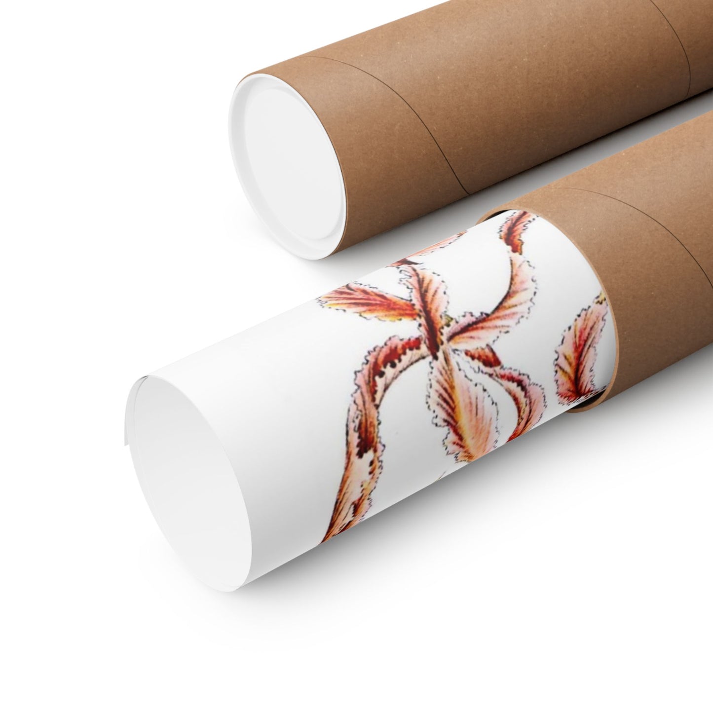 Discomedusae (Jellyfish) - Ernst Haeckel (1904) - Wall Poster Print