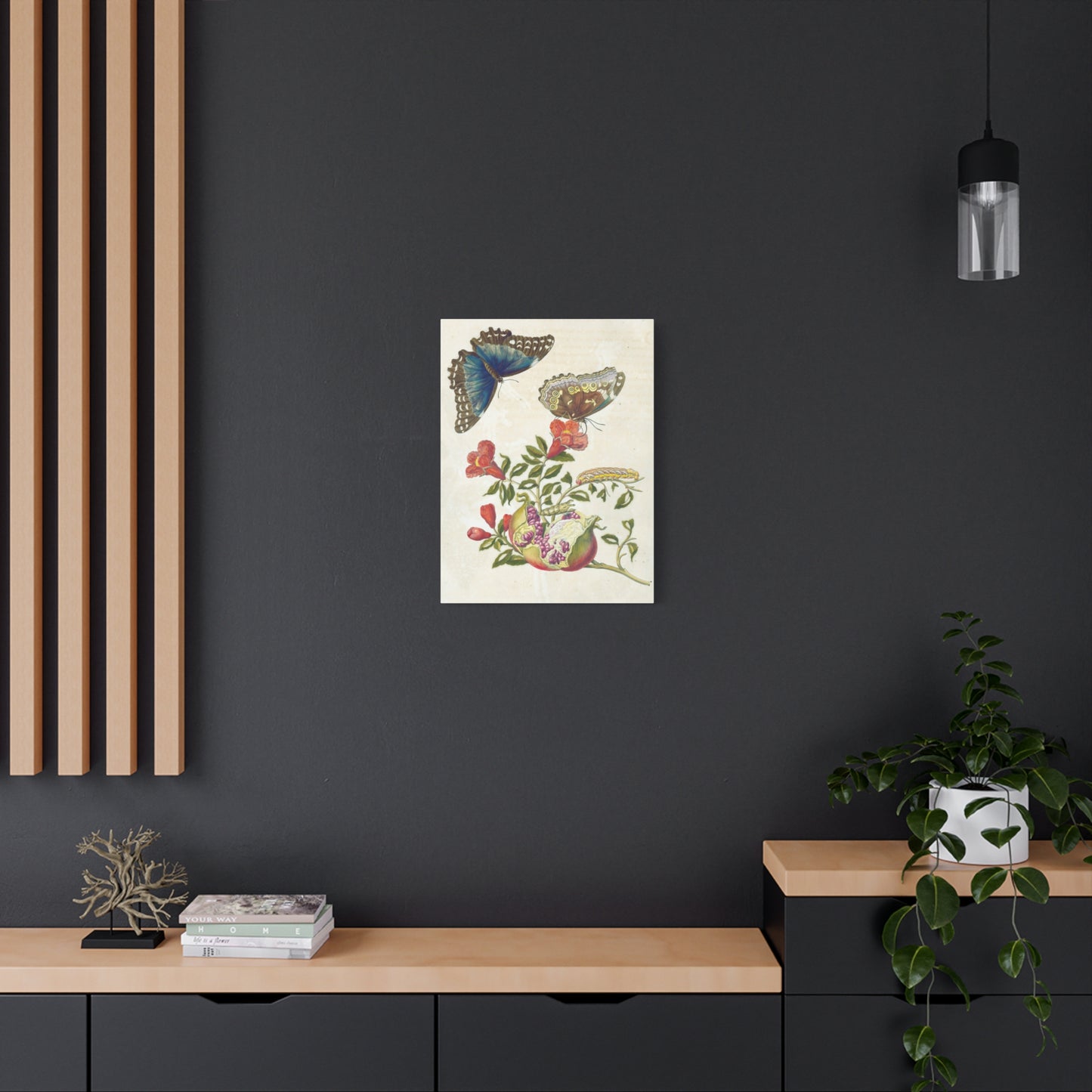 Metamorphosis Insectorum Surinamensium - Maria Sibylla Merian - Stretched Canvas Print