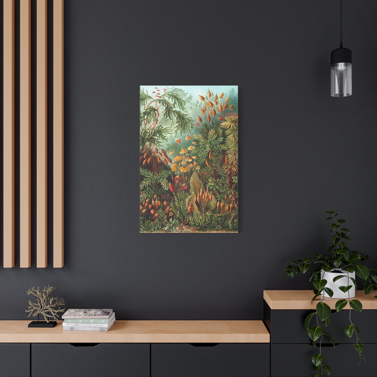 Muscinae (Mosses) - Ernst Haeckel (1904) - Stretched Canvas Print