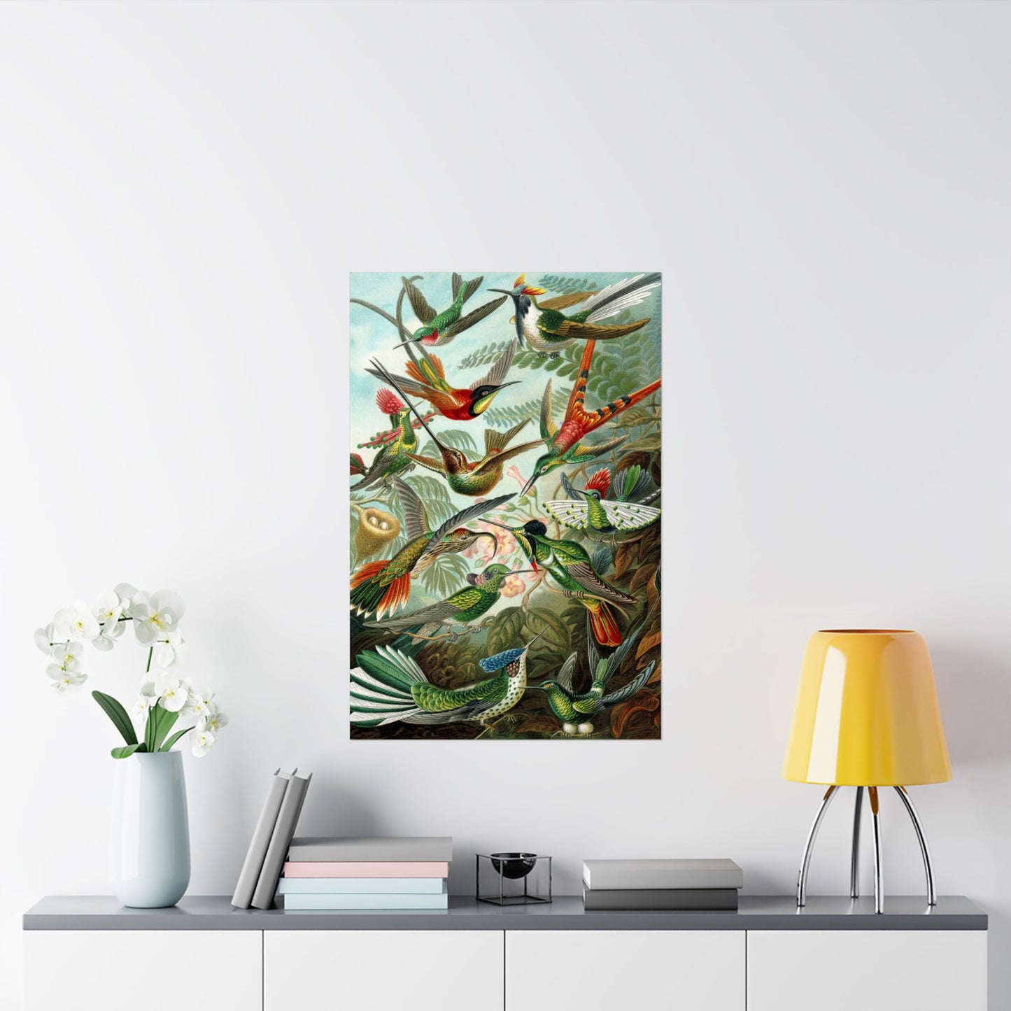 Trochilidae (Hummingbirds) - Ernst Haeckel (1904) - Wall Poster Print