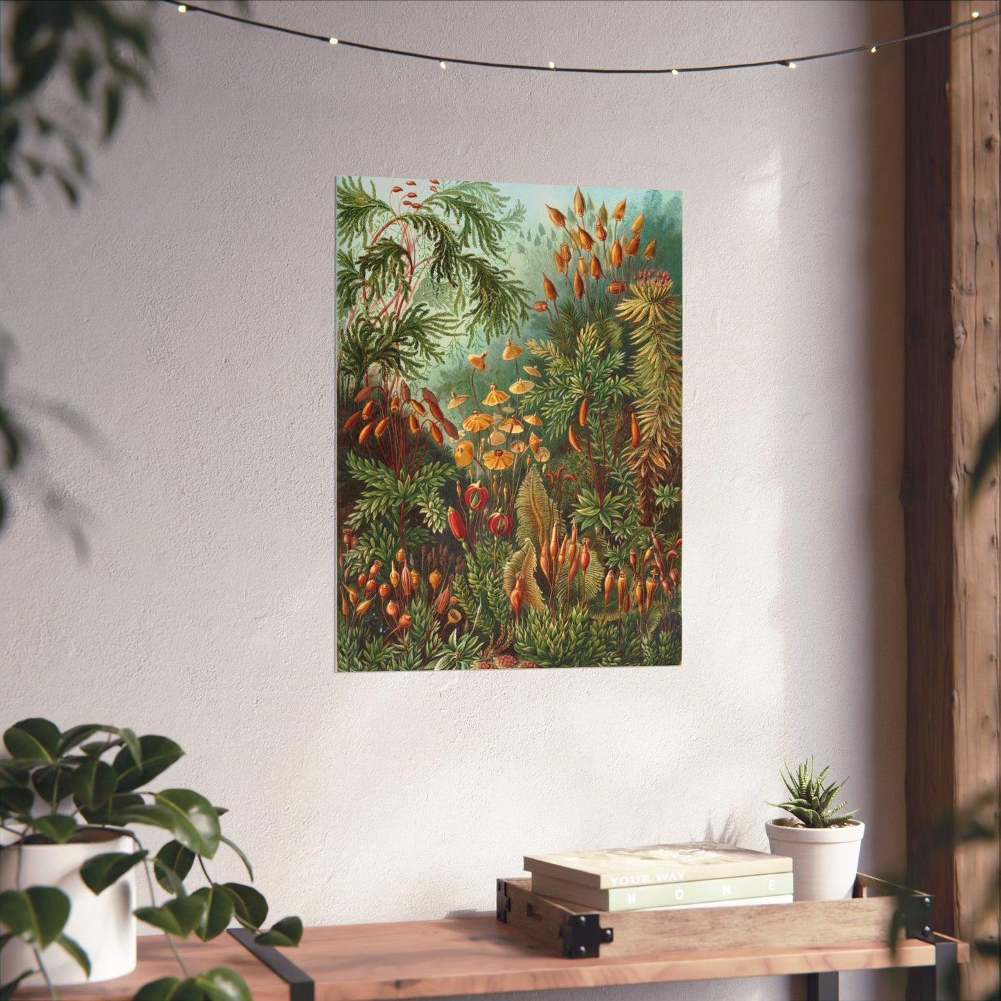 Muscinae (Mosses) - Ernst Haeckel (1904) - Wall Poster Print