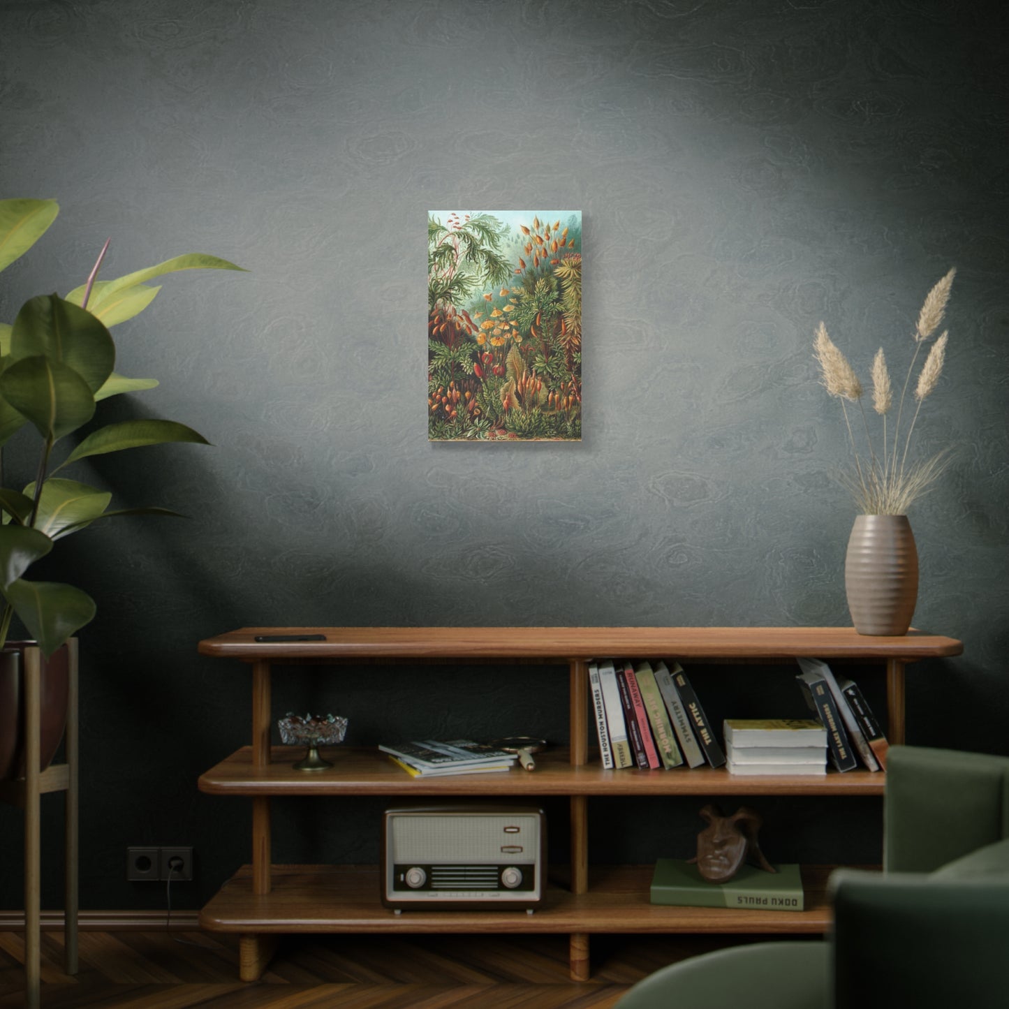 Muscinae (Mosses) - Ernst Haeckel (1904) - Stretched Canvas Print