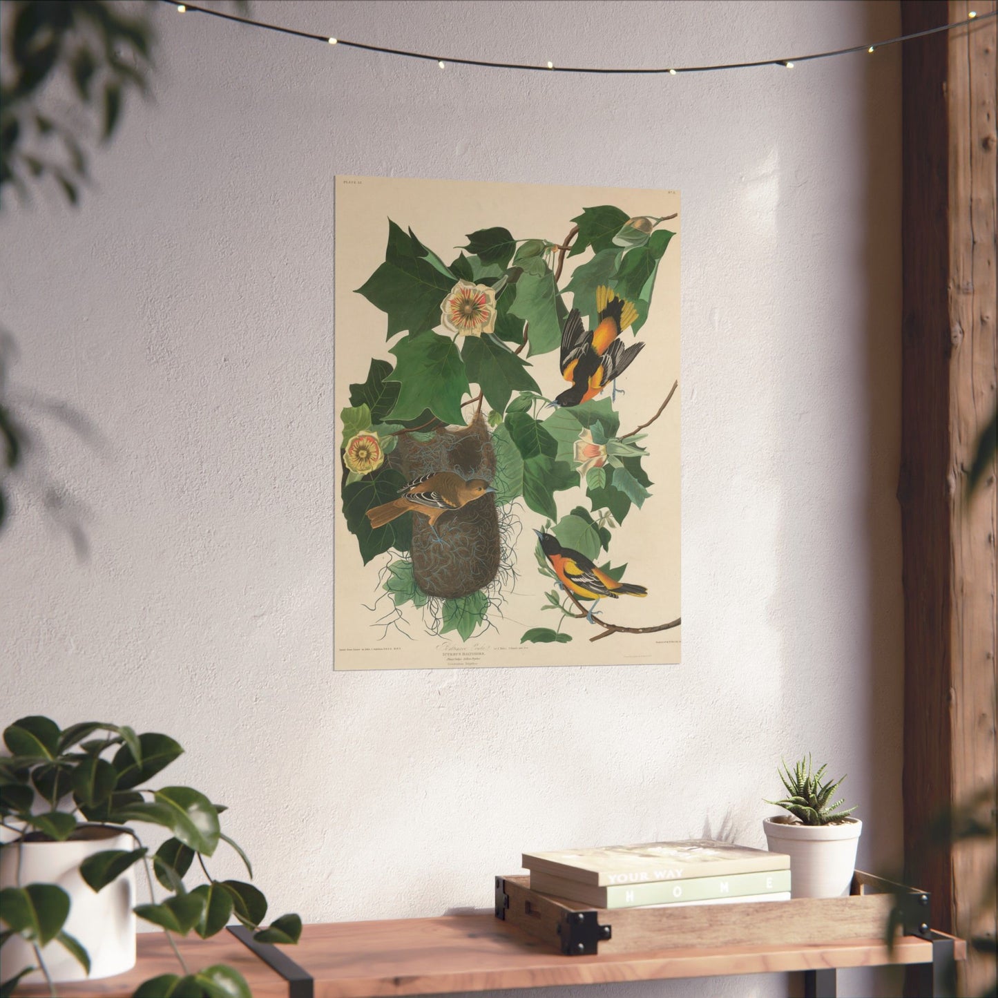 Baltimore Oriole (Birds of America) - John James Audubon - Wall Poster Print