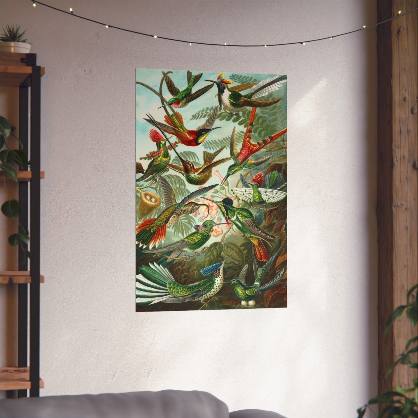 Trochilidae (Hummingbirds) - Ernst Haeckel (1904) - Wall Poster Print