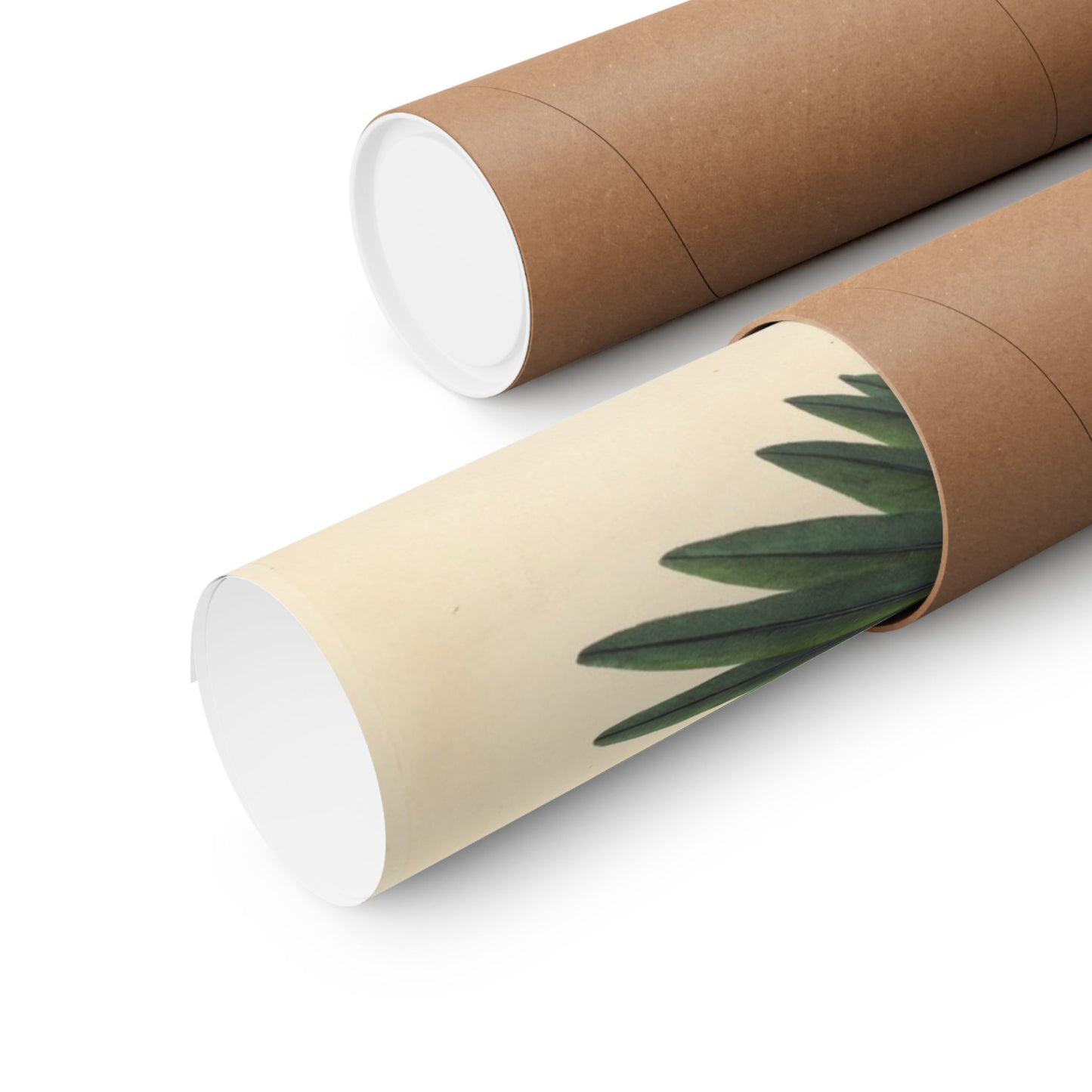 Carolina Parakeet (Birds of America) - John James Audubon - Wall Poster Print