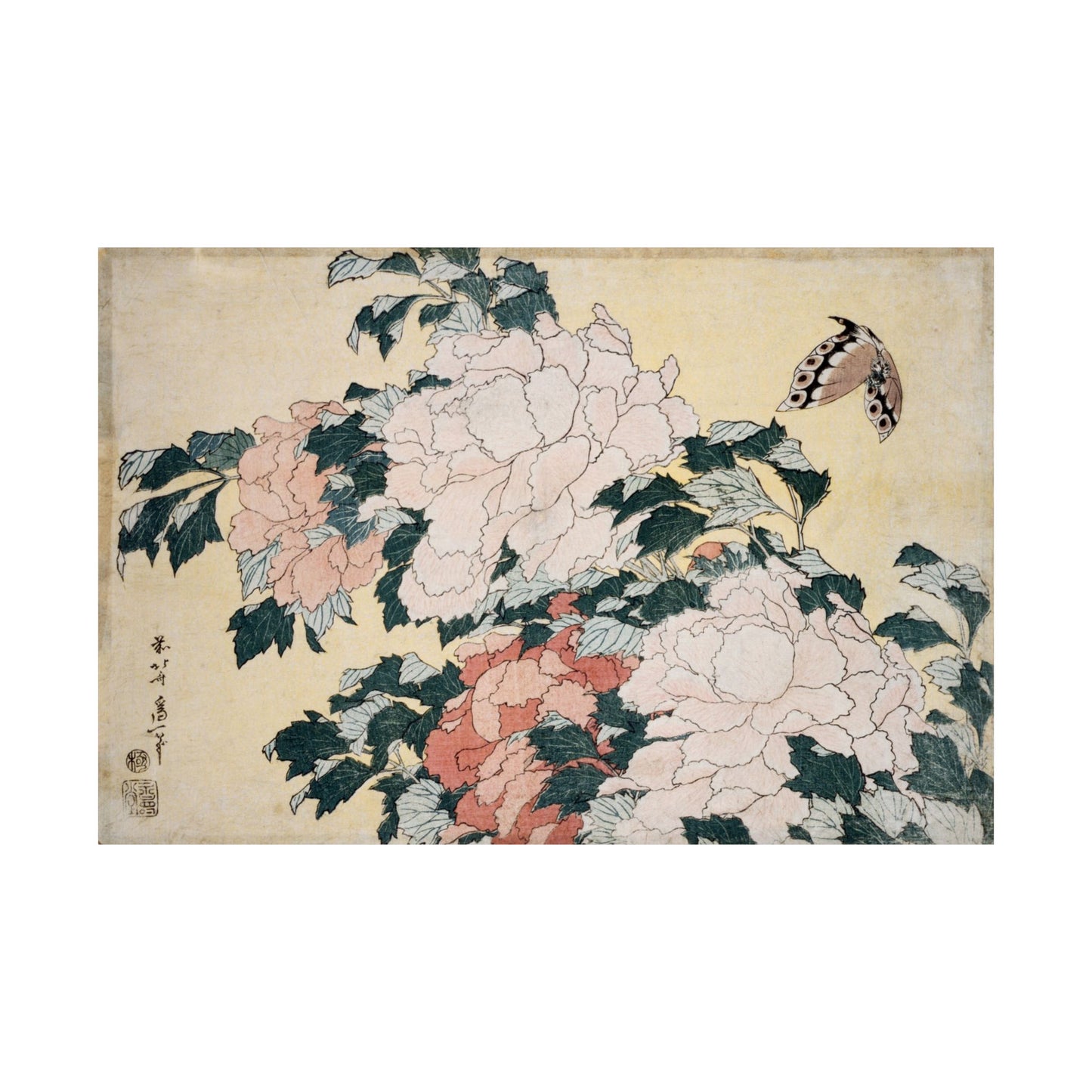 Peonies and Butterfly - Katsushika Hokusai - Wall Poster Print
