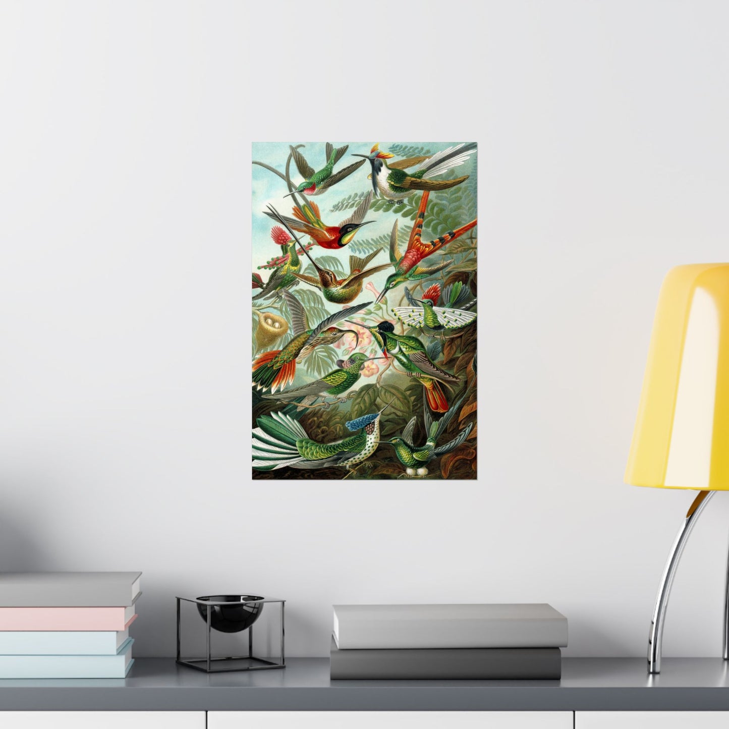 Trochilidae (Hummingbirds) - Ernst Haeckel (1904) - Wall Poster Print
