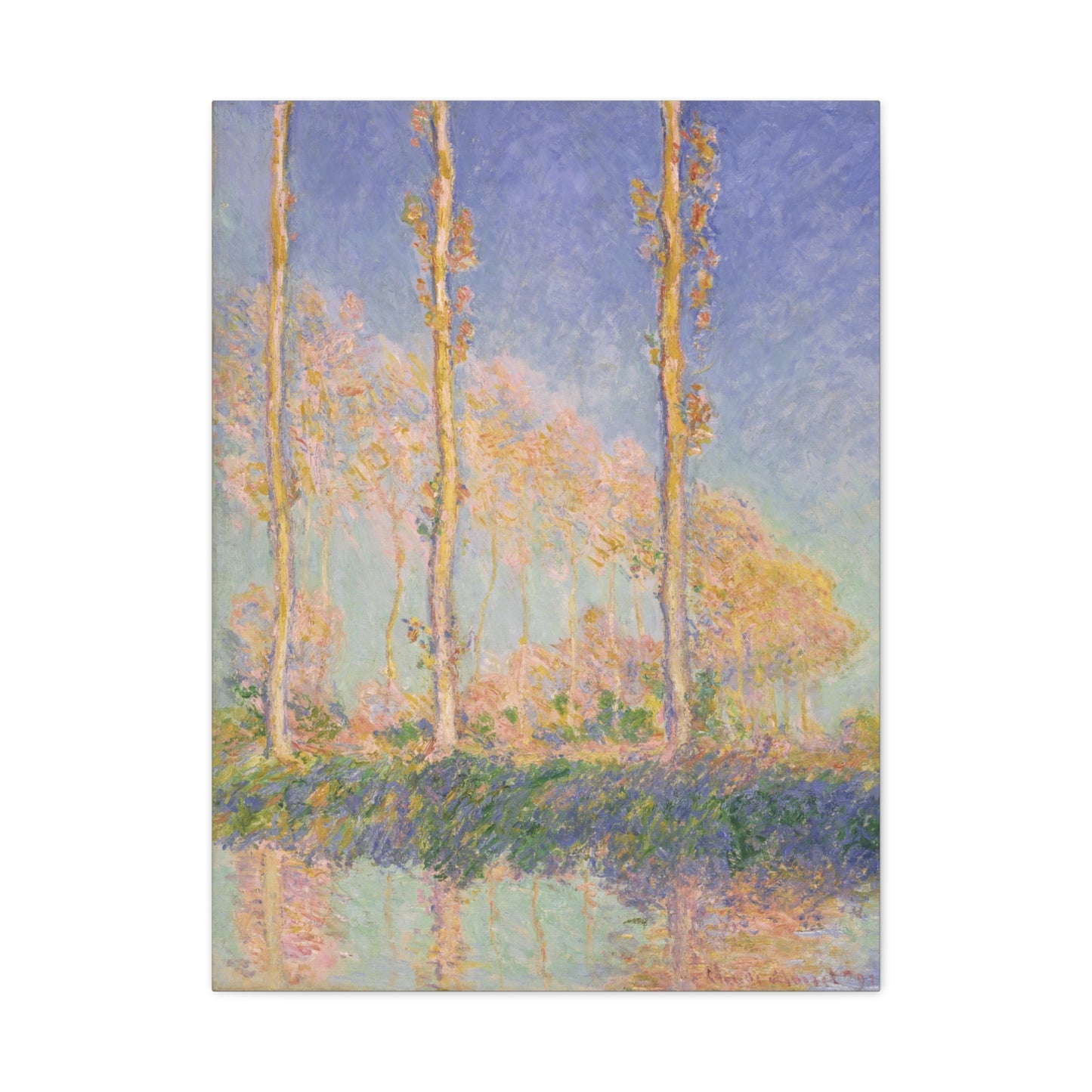 Poplars - Claude Monet (1891) - Stretched Canvas Print