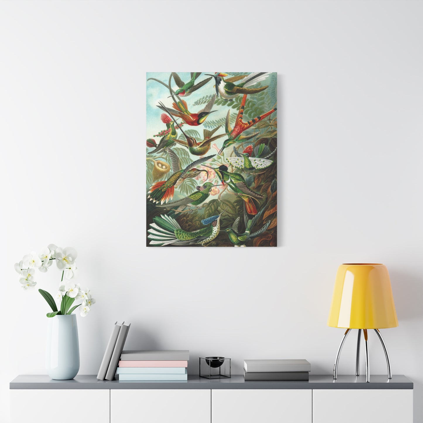 Trochilidae (Hummingbirds) - Ernst Haeckel (1904) - Stretched Canvas Print