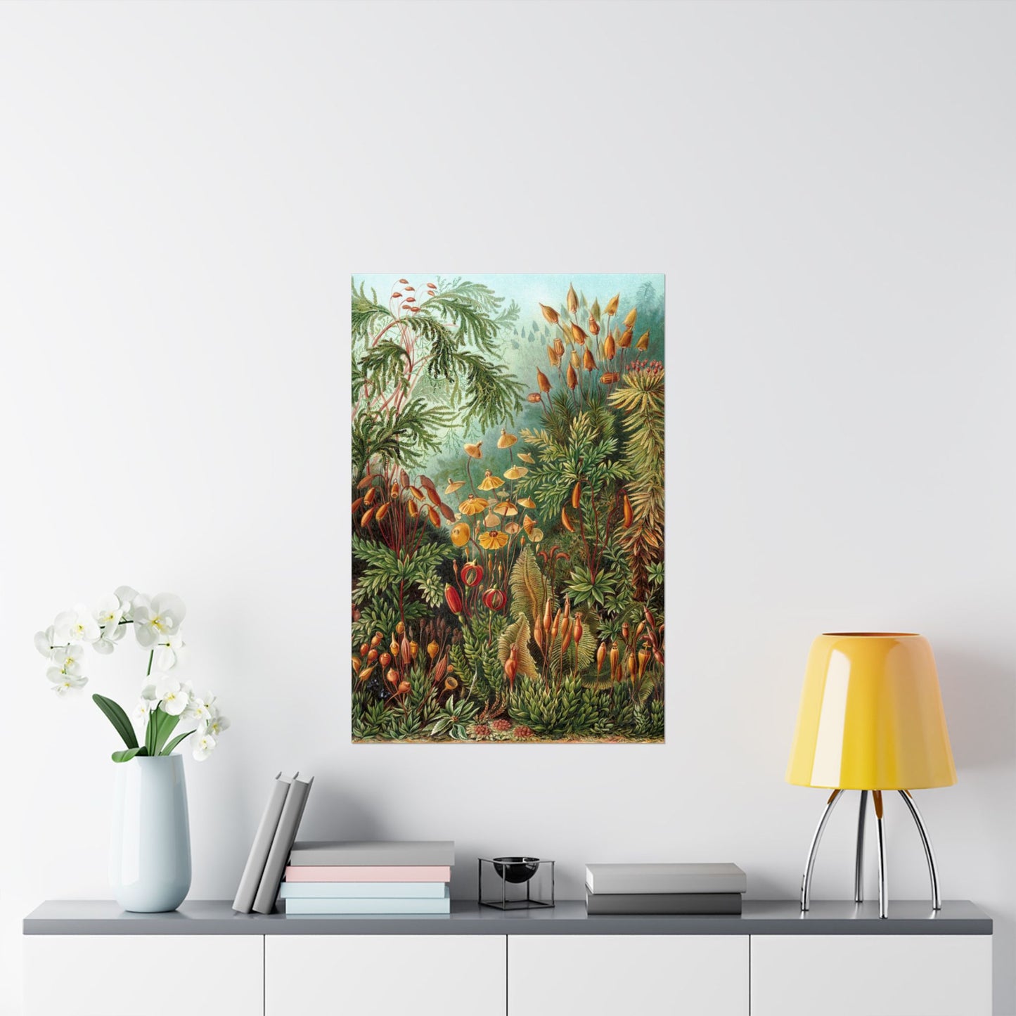 Muscinae (Mosses) - Ernst Haeckel (1904) - Wall Poster Print