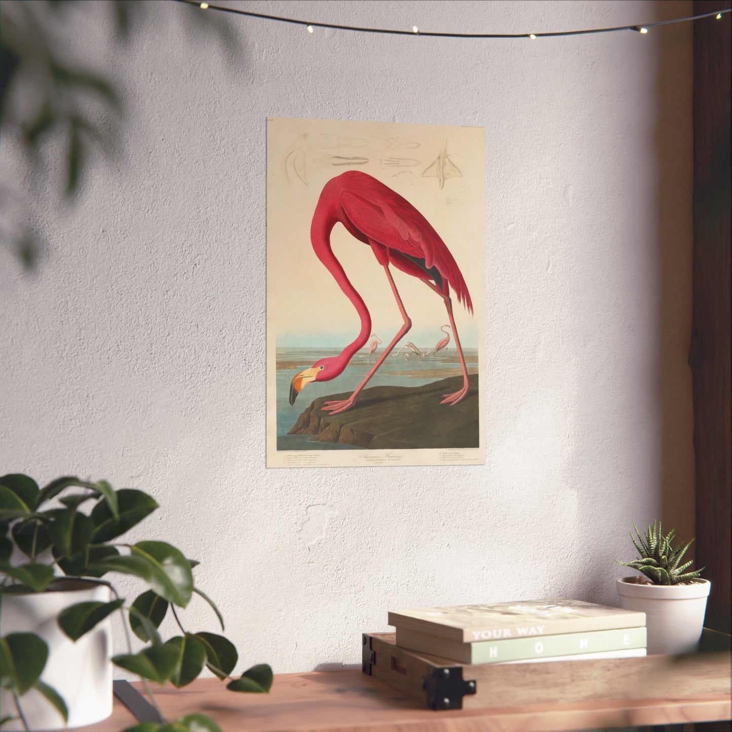American Flamingo (Birds of America) - John James Audubon - Wall Poster Print