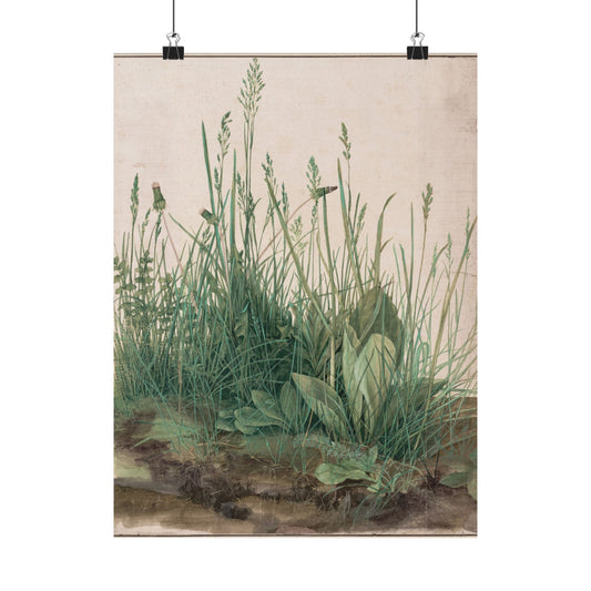 Great Piece of Turf - Albrecht Dürer (1503) - Wall Poster Print