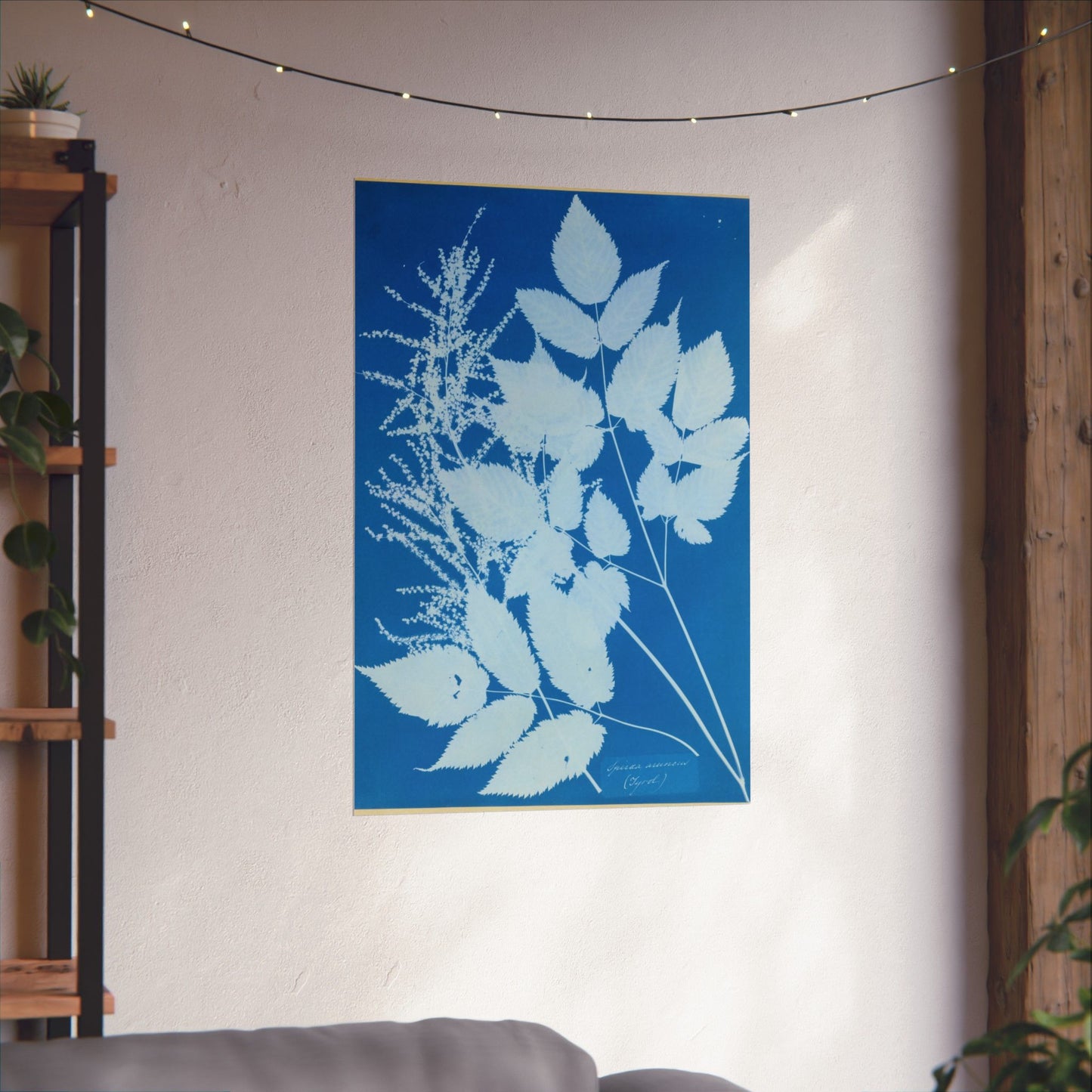 Spiraea Aruncus (Tyrol) Cyanotype - Anna Atkins - Wall Poster Print