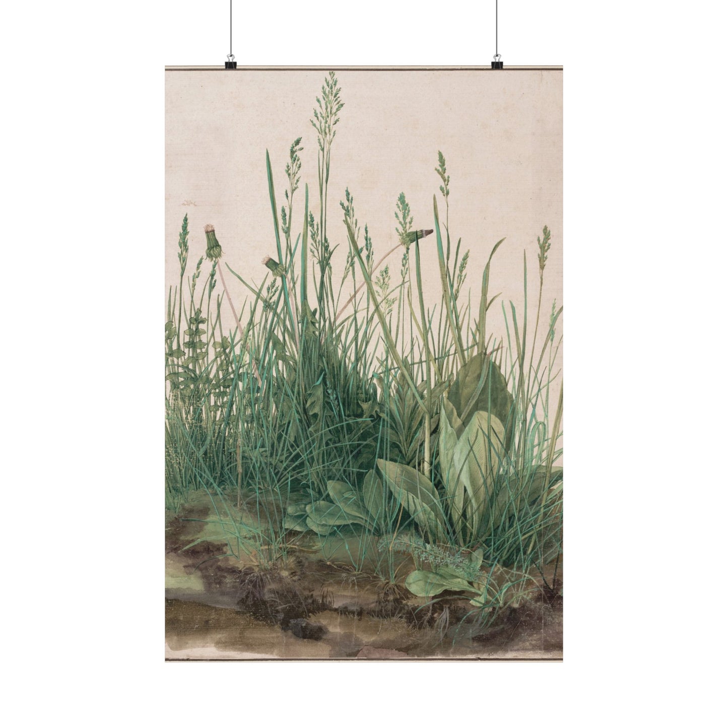 Great Piece of Turf - Albrecht Dürer (1503) - Wall Poster Print