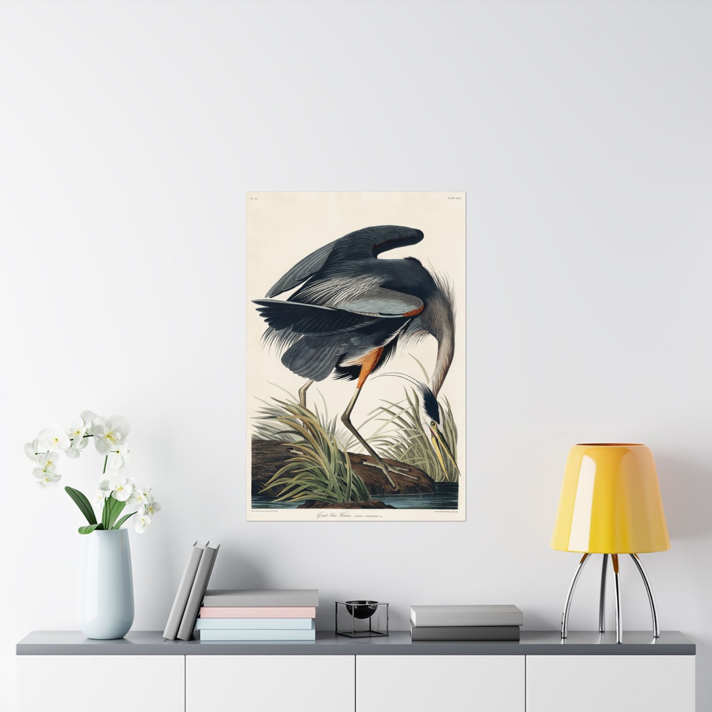 Great Blue Heron (Birds of America) - John James Audubon - Wall Poster Print