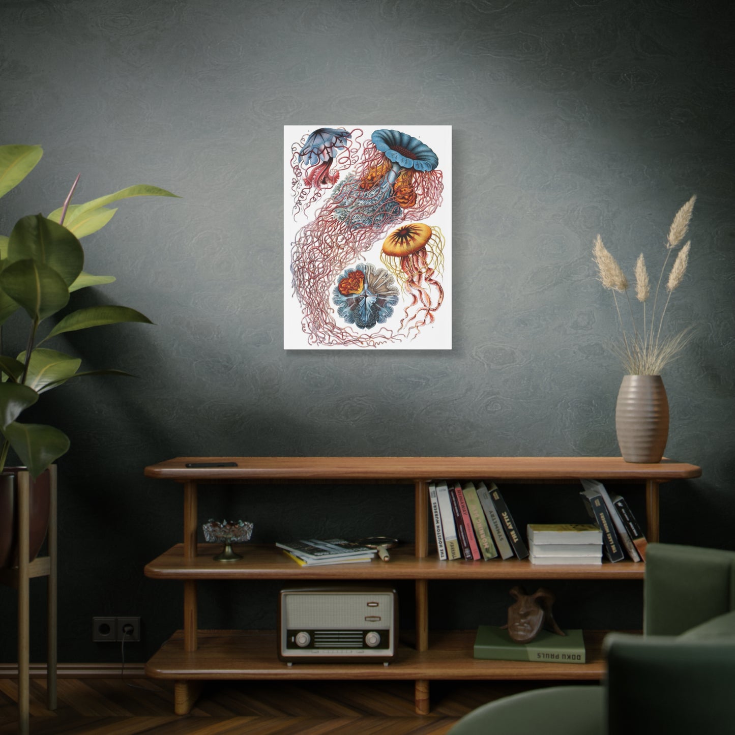 Discomedusae (Jellyfish) - Ernst Haeckel (1904) - Stretched Canvas Print