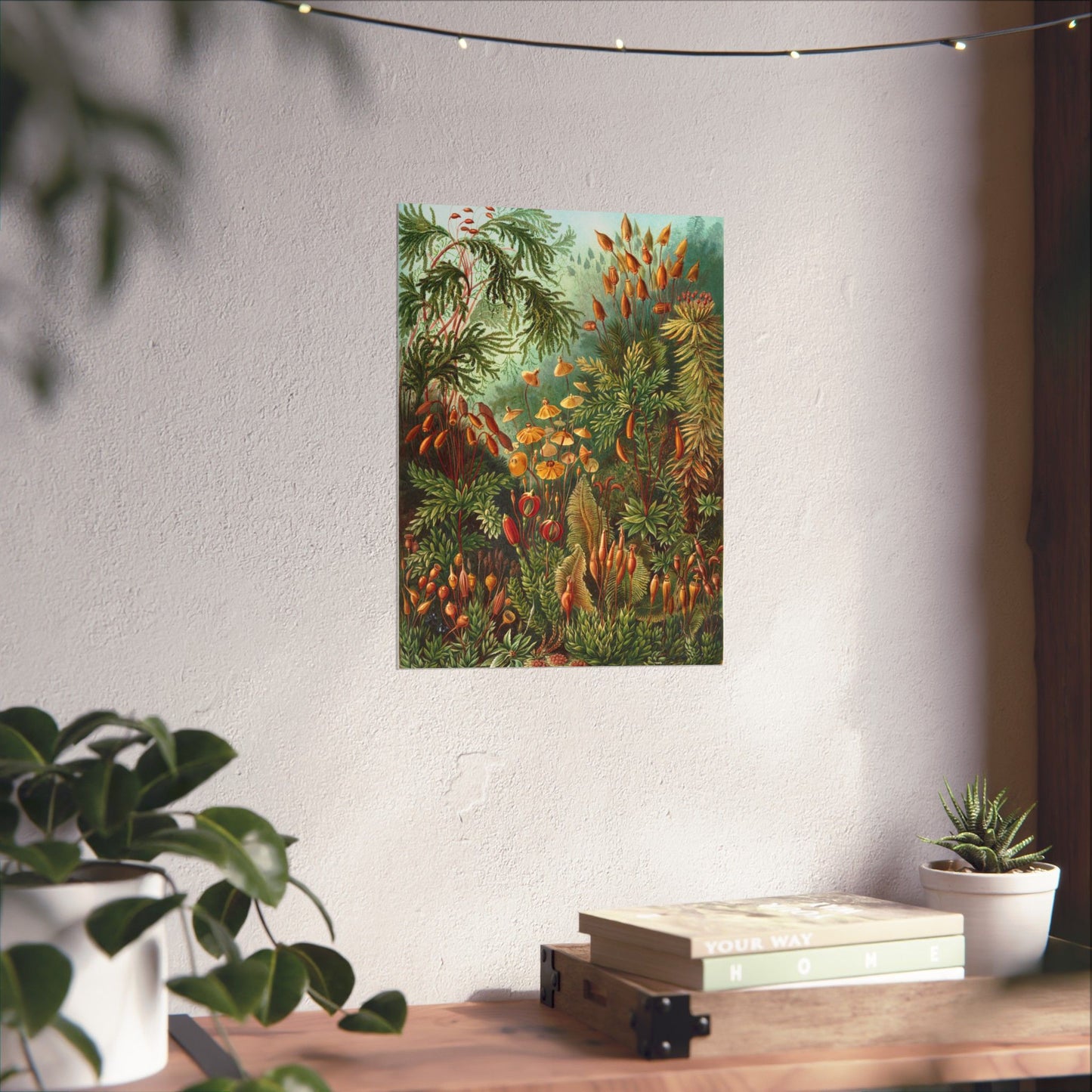 Muscinae (Mosses) - Ernst Haeckel (1904) - Wall Poster Print