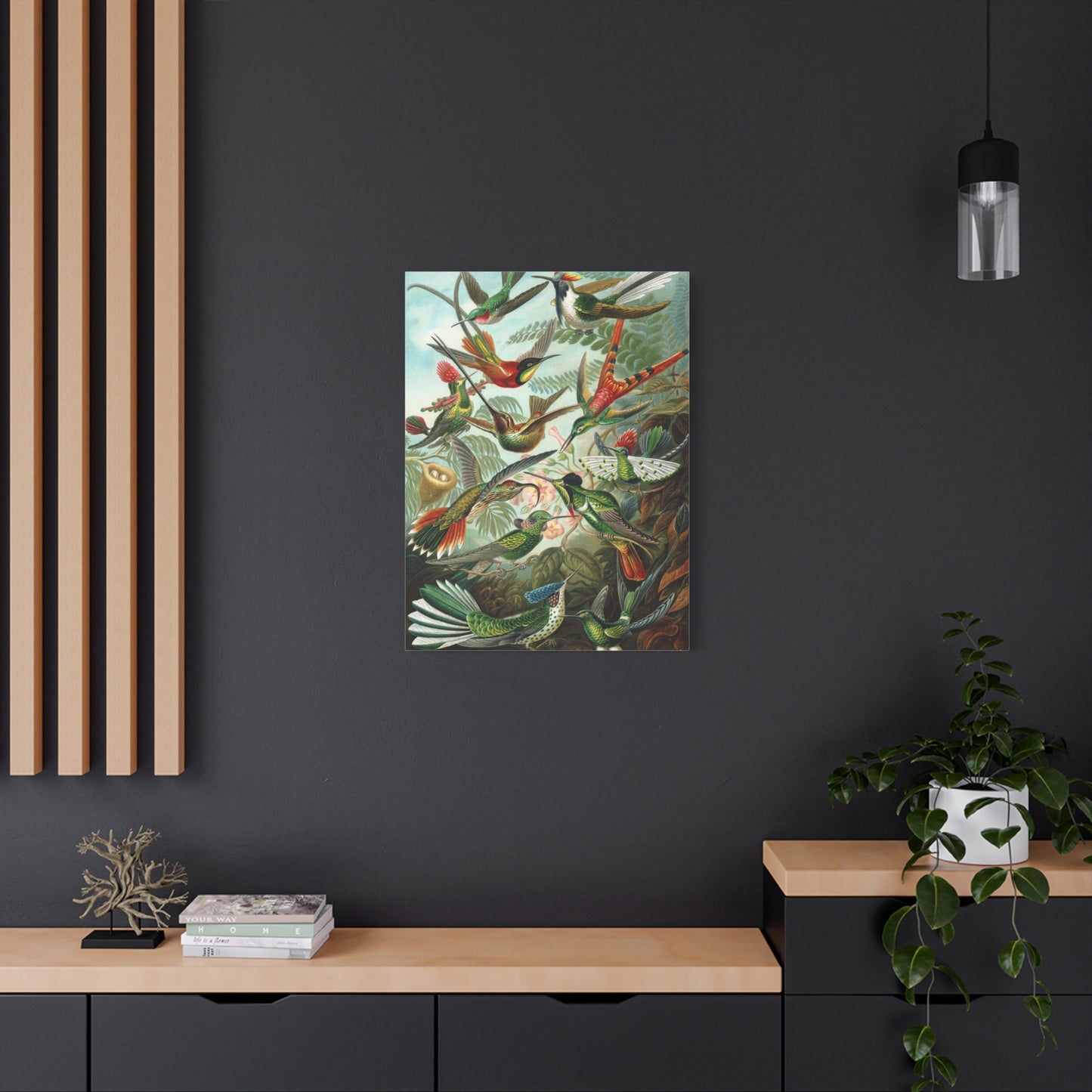 Trochilidae (Hummingbirds) - Ernst Haeckel (1904) - Stretched Canvas Print