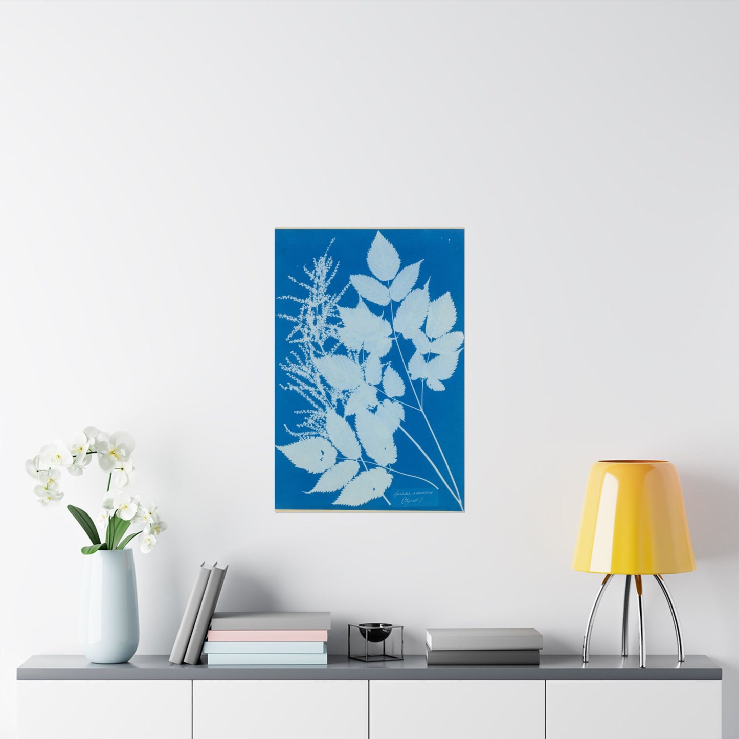 Spiraea Aruncus (Tyrol) Cyanotype - Anna Atkins - Wall Poster Print