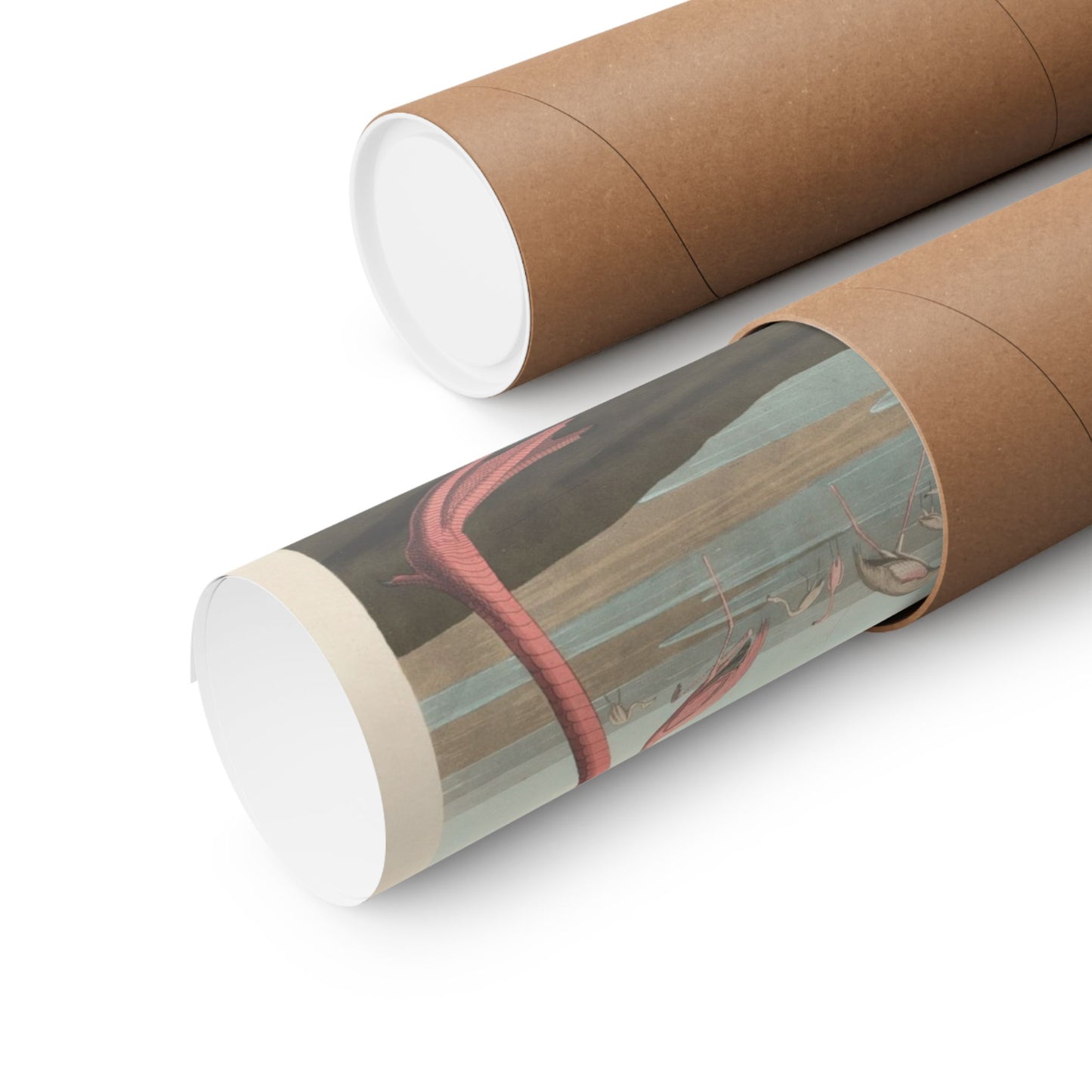 American Flamingo (Birds of America) - John James Audubon - Wall Poster Print