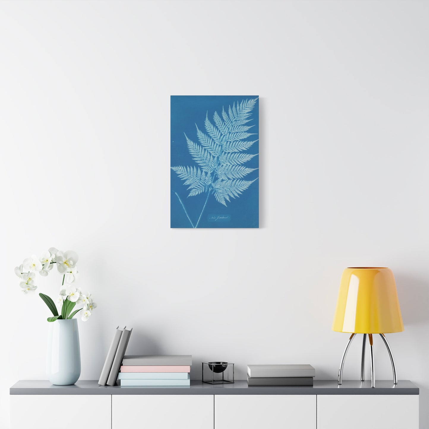New Zealand Fern Cyanotype - Anna Atkins - Stretched Canvas Print