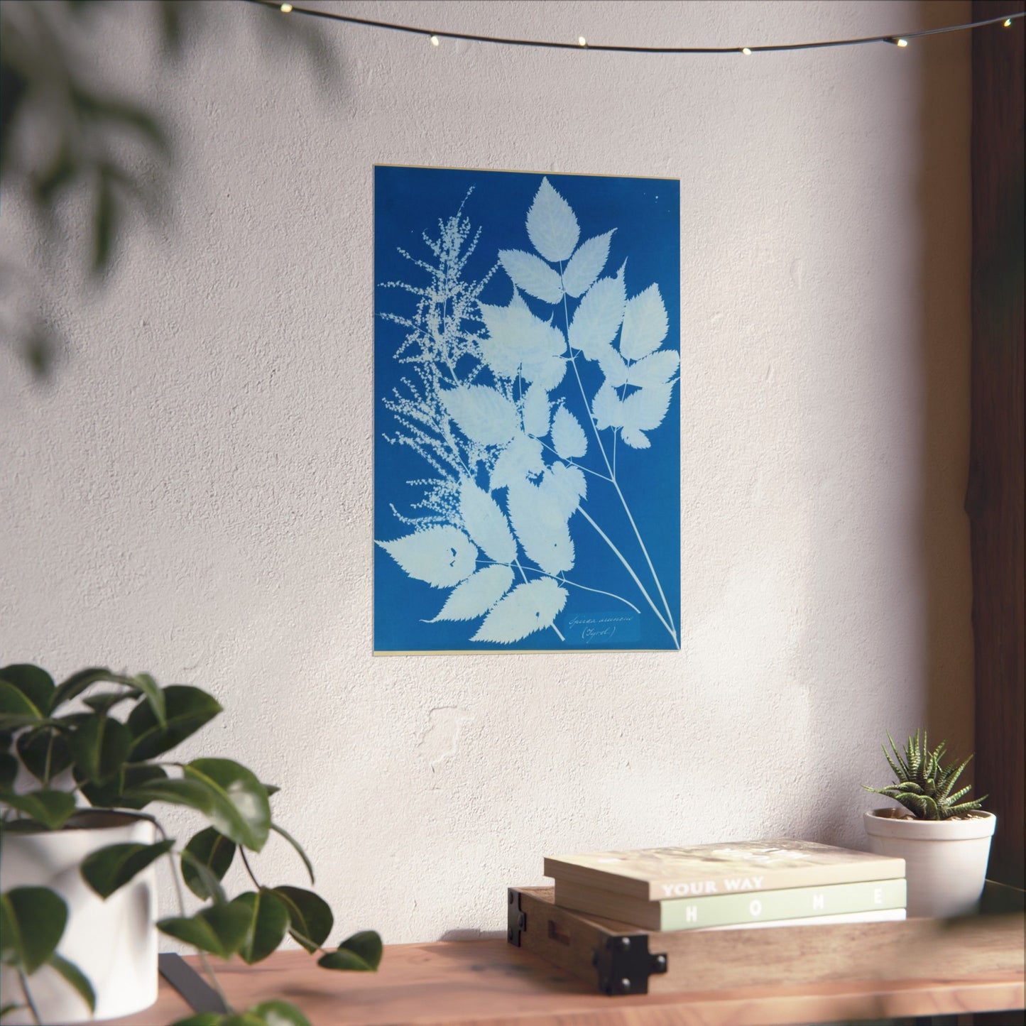Spiraea Aruncus (Tyrol) Cyanotype - Anna Atkins - Wall Poster Print