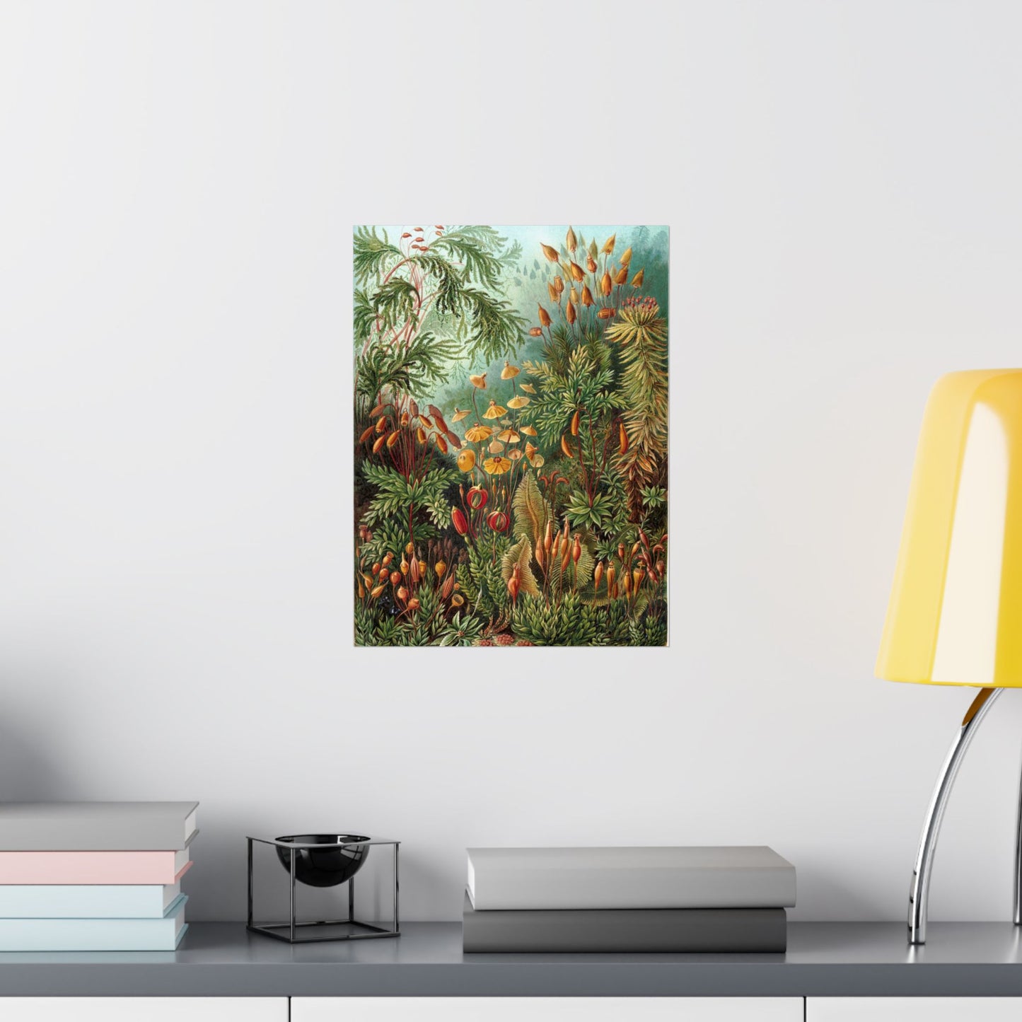 Muscinae (Mosses) - Ernst Haeckel (1904) - Wall Poster Print